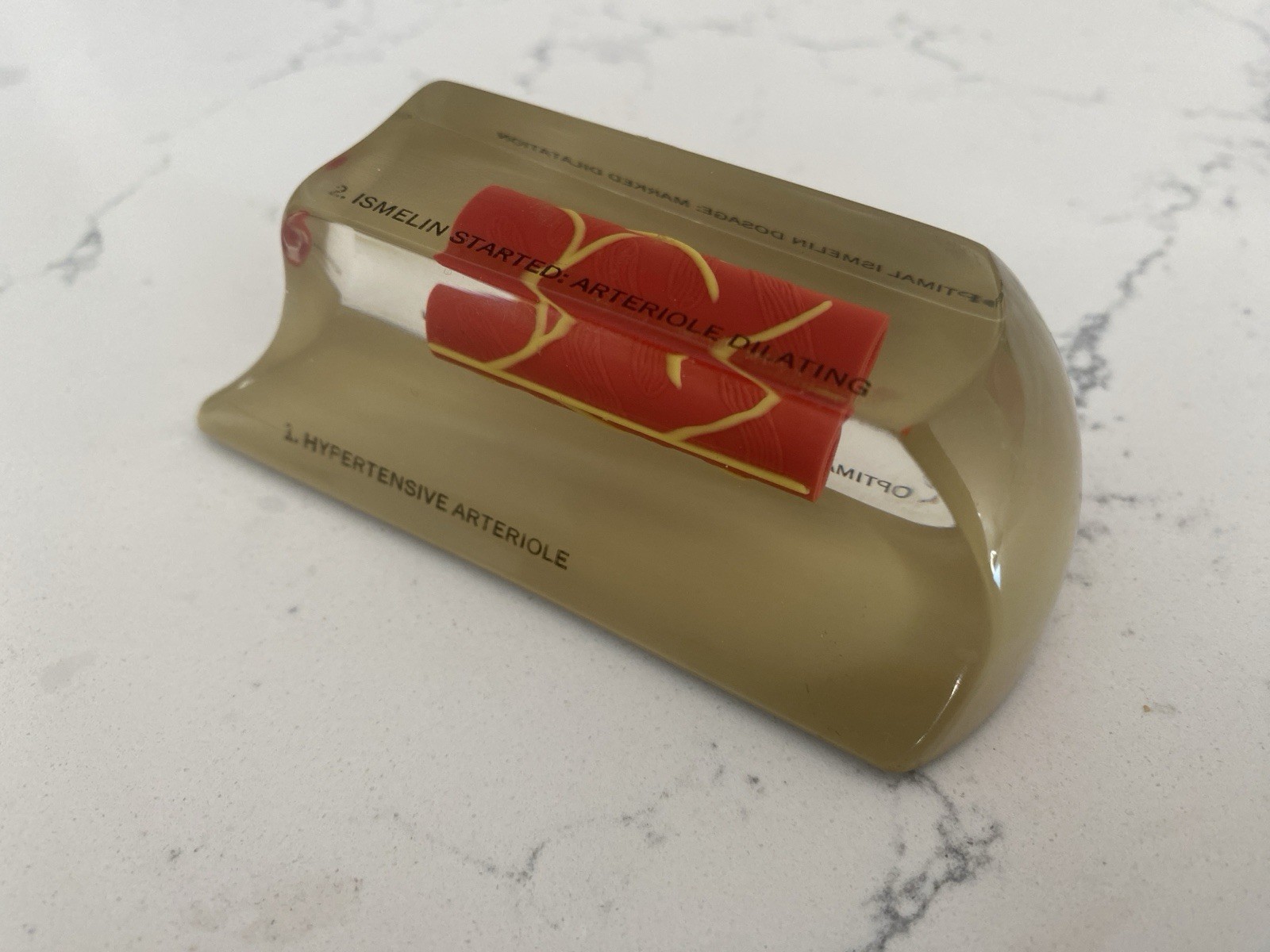 Rare 1960s CIBA Ismelin Promotional Pharmaceutical Drug Lucite Paperweight