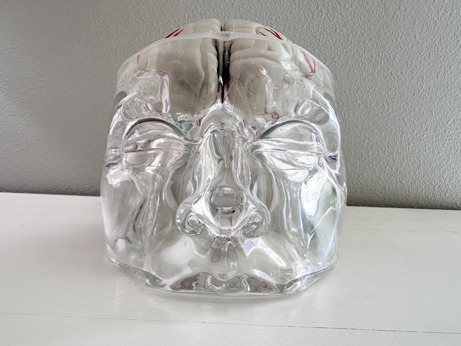 UCB Pharma Lucite Head Skull Brain Model Medical Pharmaceutical Science Display