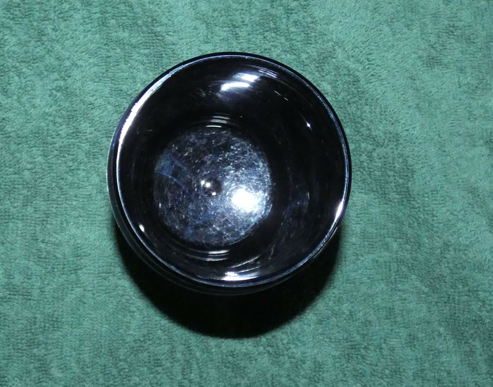 Drug Rep Collectible Rozerem Cup, Licoln, Beaver, Diver, Ramelteon – USA Made