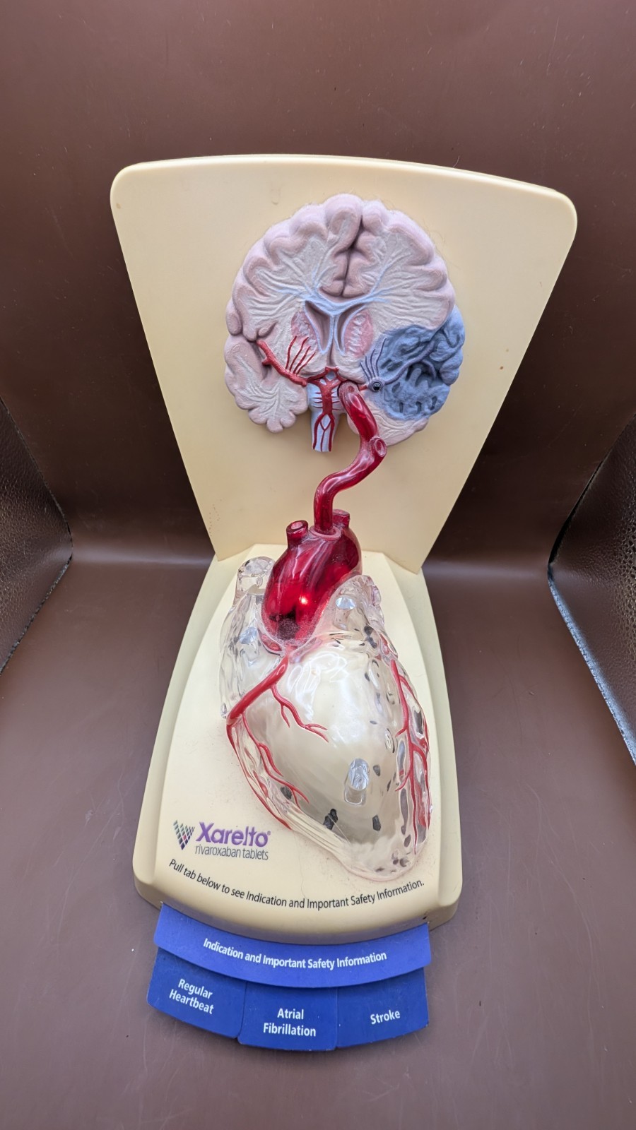 Xarelto Doc. heart display light up sound medical heart beat Pull tab info cards