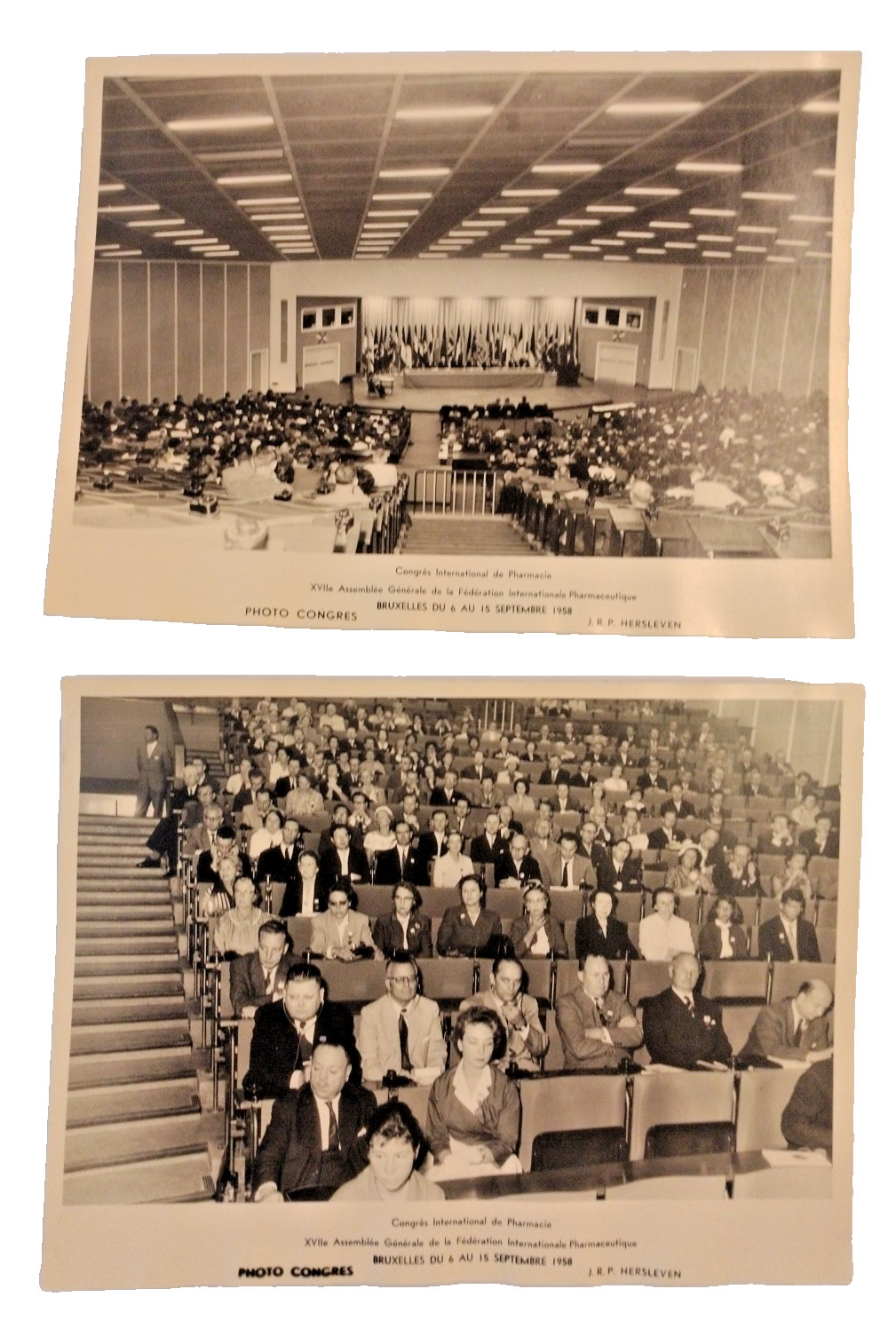 Lot/2- 1958 Real Press Photo International Congress Of Pharmacy General Assembly