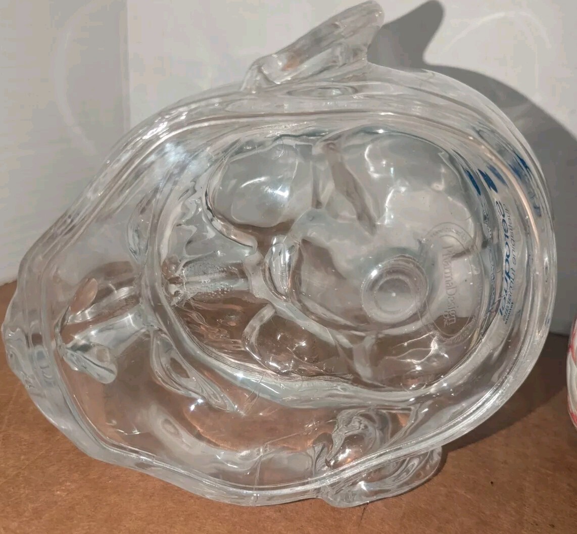 Lucite Head Skull Brain Model Medical Pharmaceutical Science Display – SEROQUEL