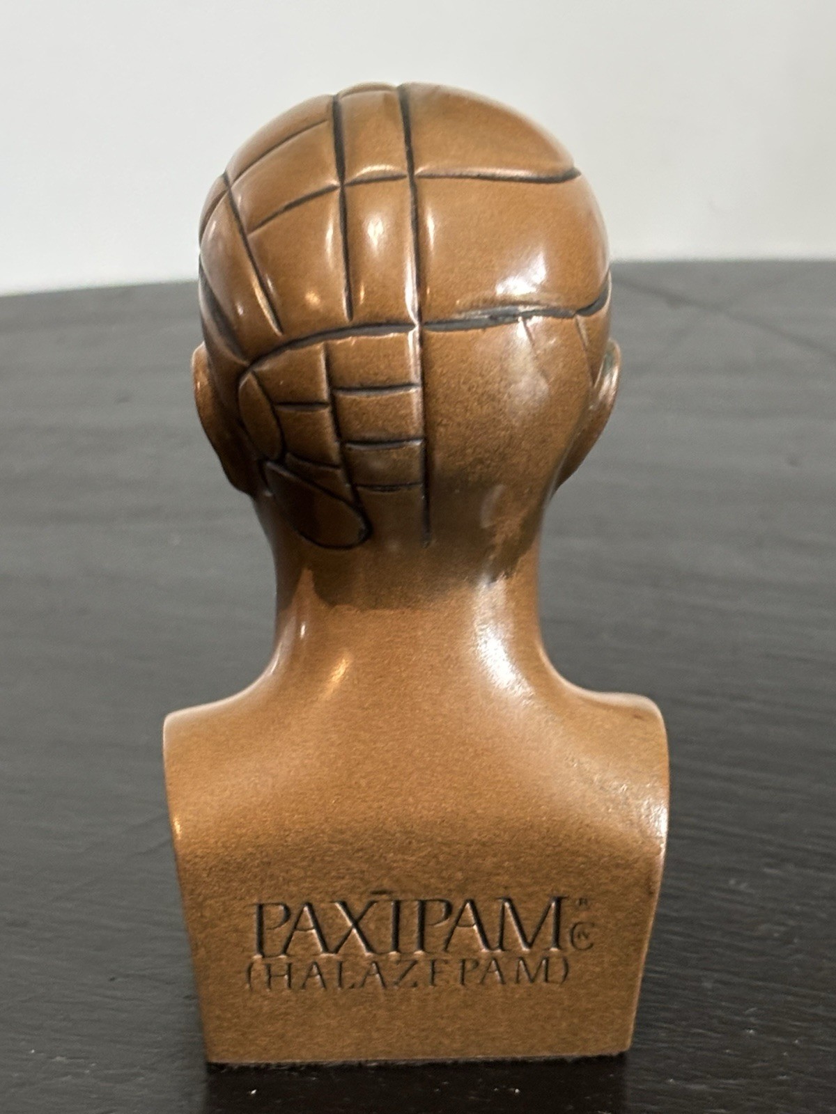 PHRENOLOGY HEAD-Medical Advertising-Promotional Statue BUST-Discontinued PAXIPAM