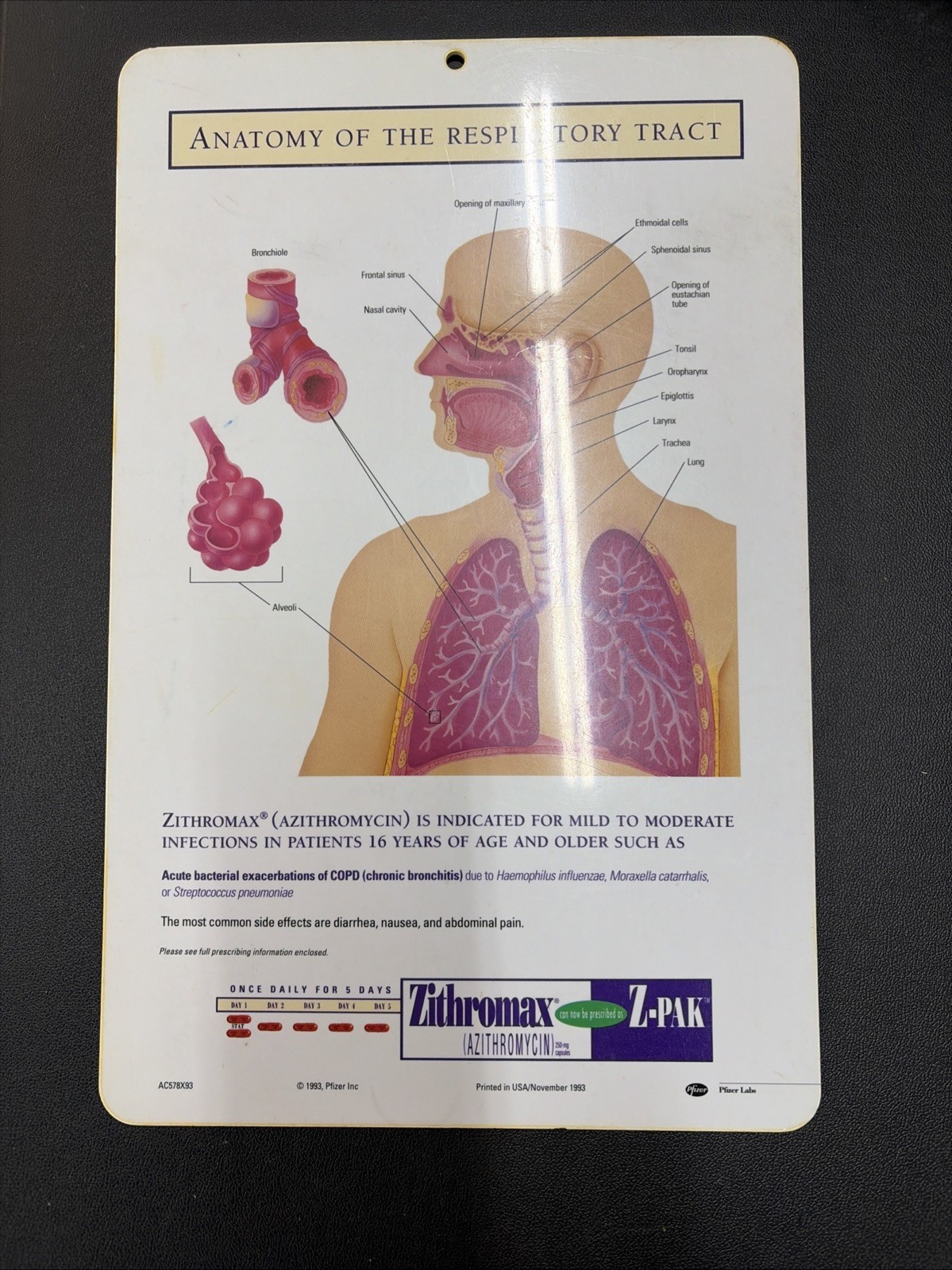 Medical Clipboard Zithromac Z-Pak Pharmaceutical Drug Rep Promo 14×9