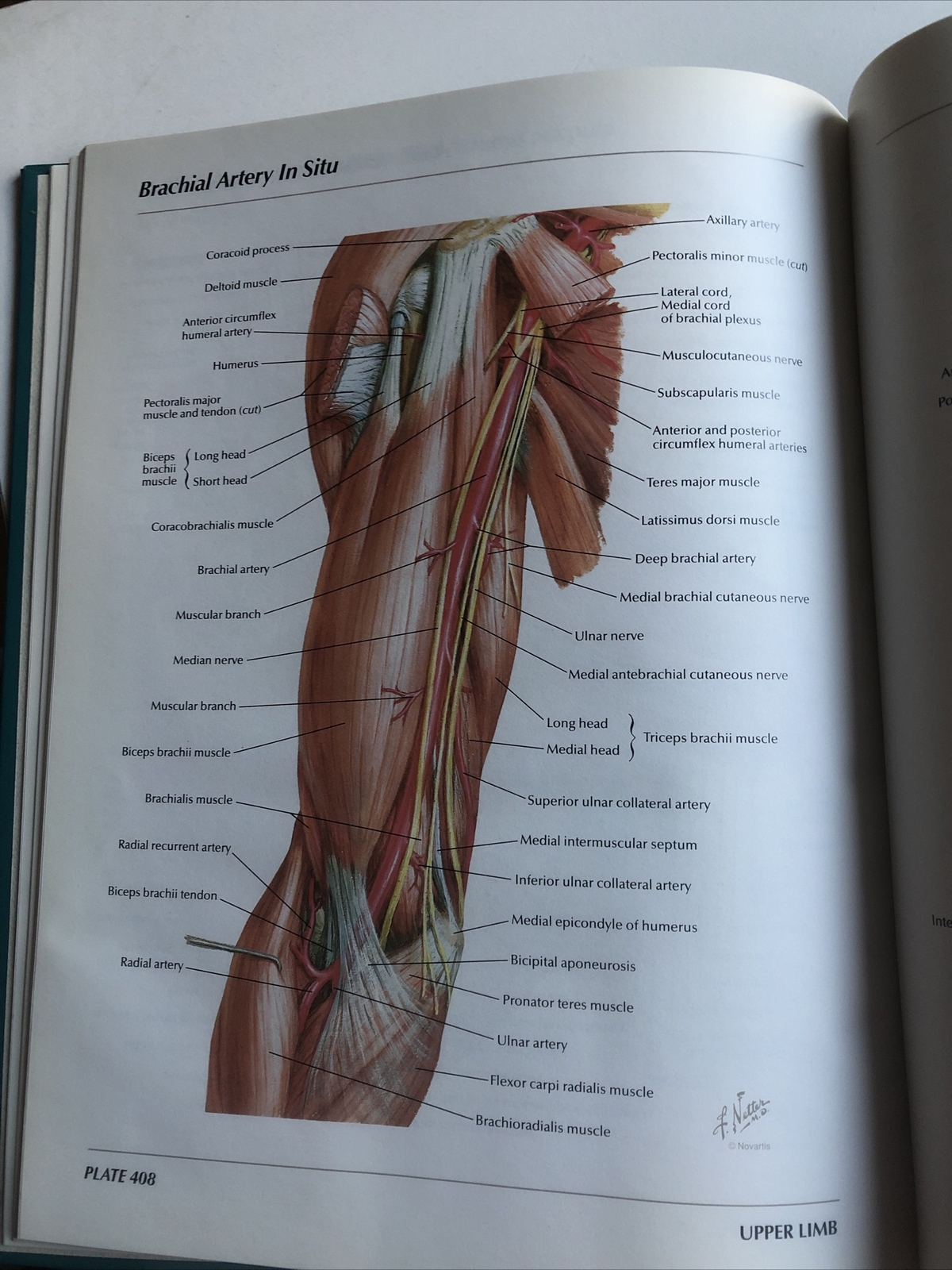 Pharmaceutical Norvatis Promo DIOVAN Cardiovascular Anatomy Hardcover Book