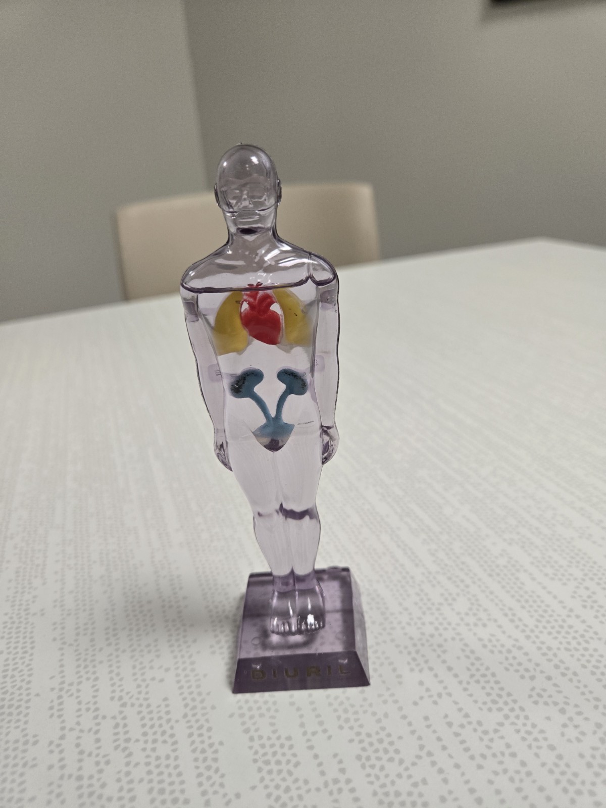 Vintage Diuril Hydro Male Medical Anatomy, 6.5″