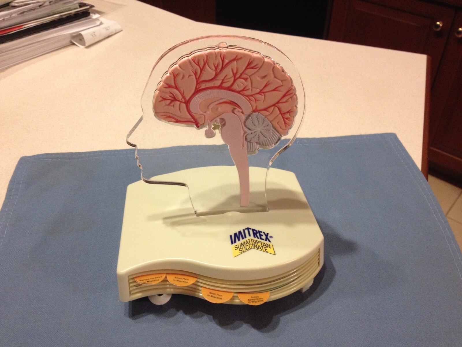 Imitrex Hemi-brain model