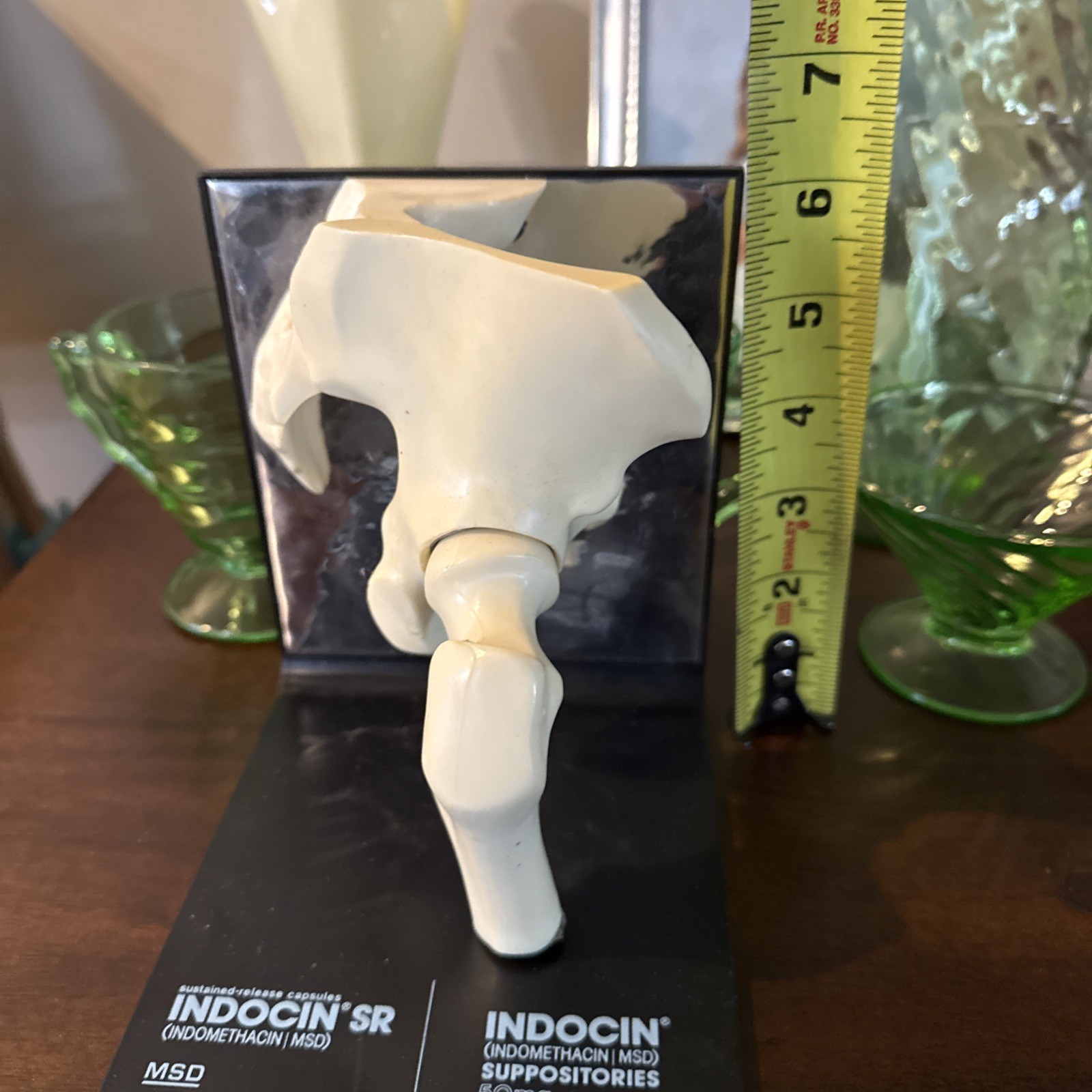 Vintage 1980’s Merck Indocin Human Hip Anatomically Correct Excellent Look