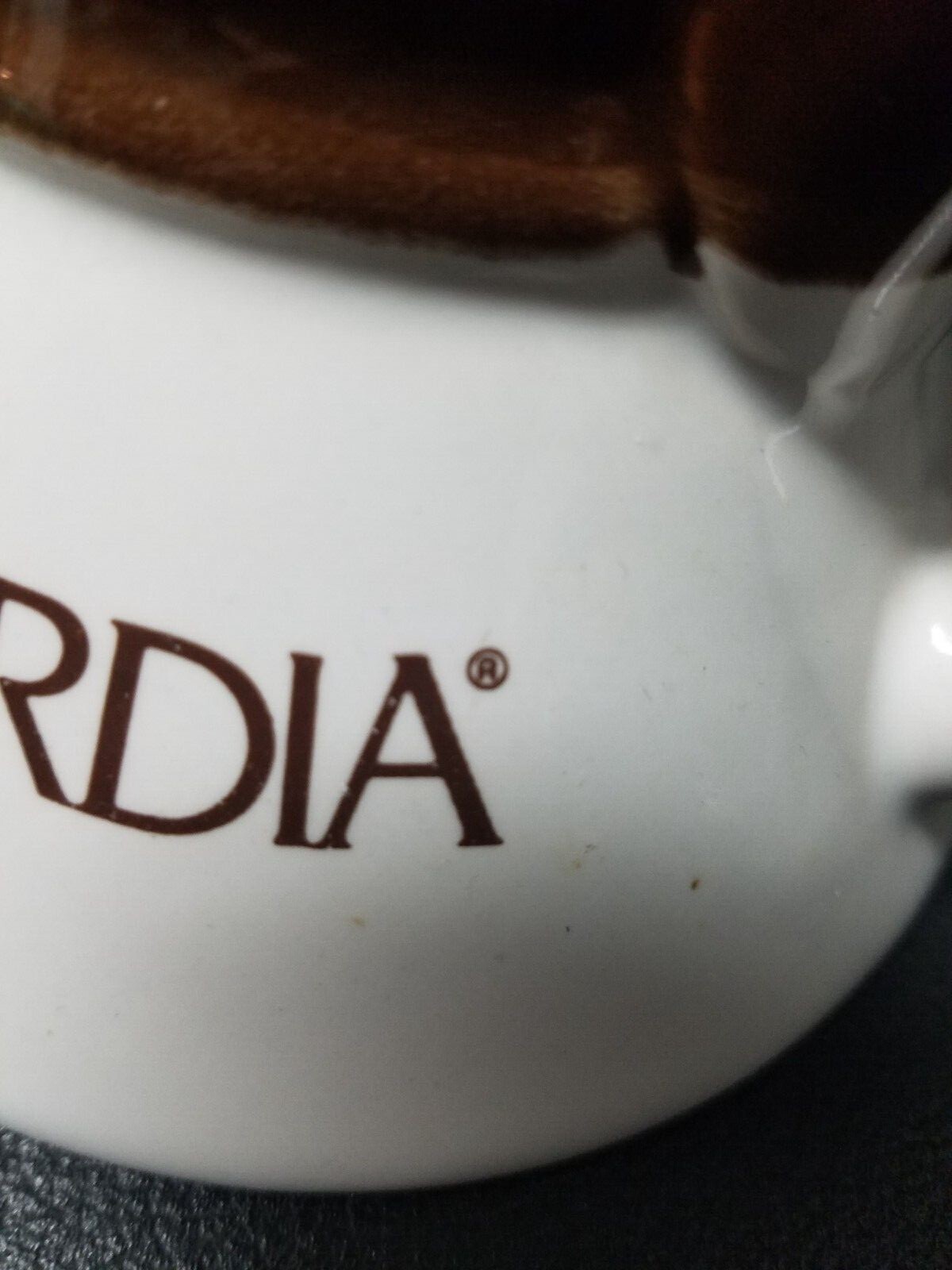 1970’s Pharmaceutical Procardia (Nifedipine) Brown and Beige Two Tone Mug