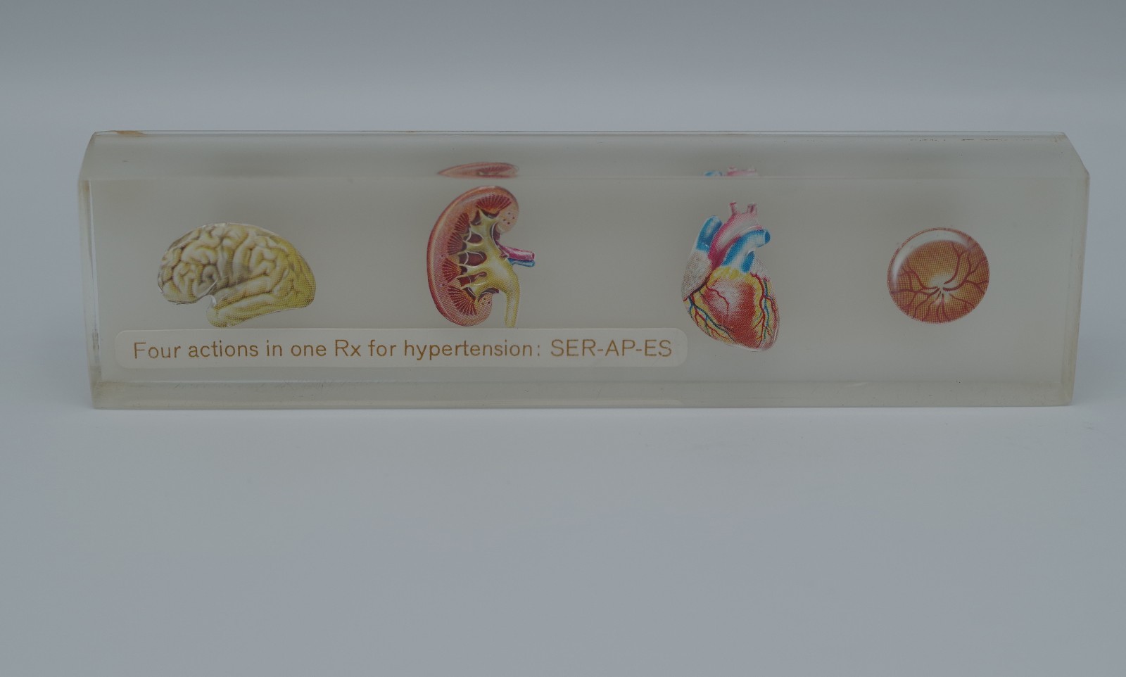 CIBA PHARMACEUTICAL PHYSICIAN’S PAPERWEIGHT BODY ORGANS SER-AP-ES ADVERTISING