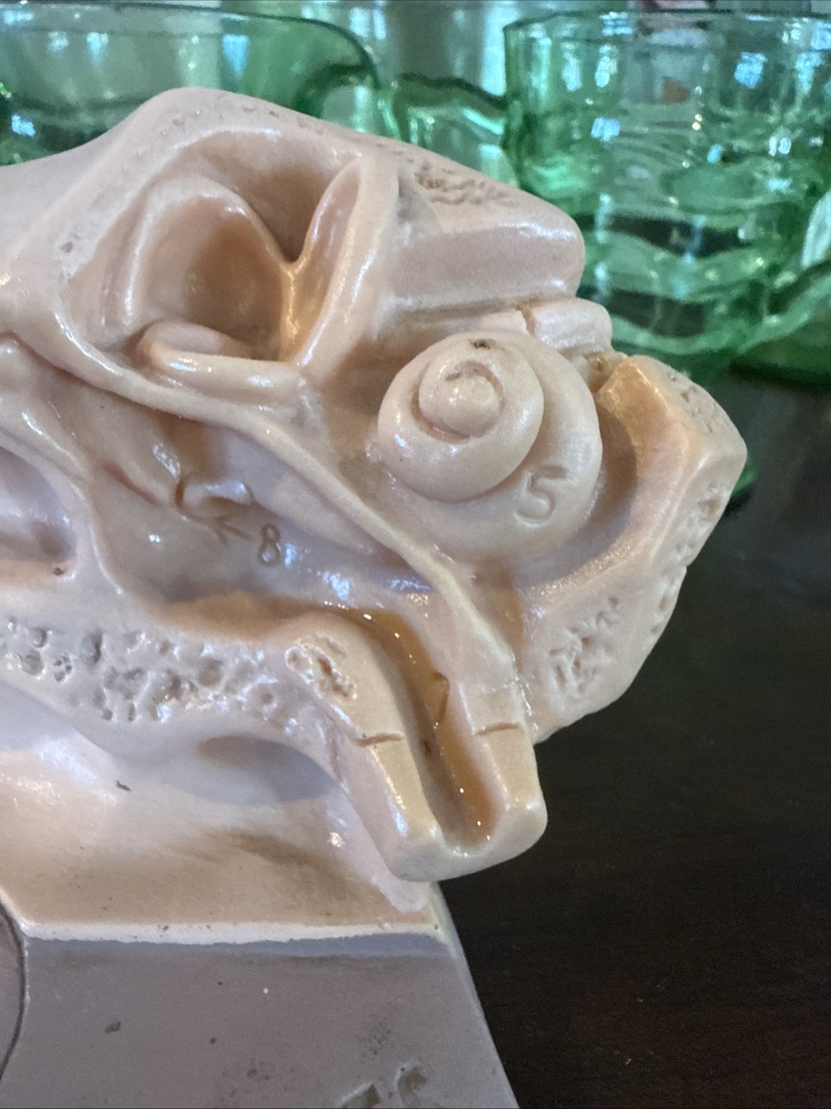 Vintage 1960’s Human Ear Anatomically Correct Beecham Sporin Otic Look
