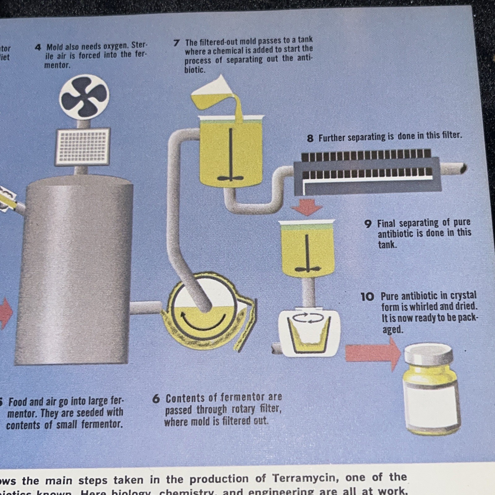 Weimer Purcell Antibiotic Production Illustration 1967 Original Encyclopedia