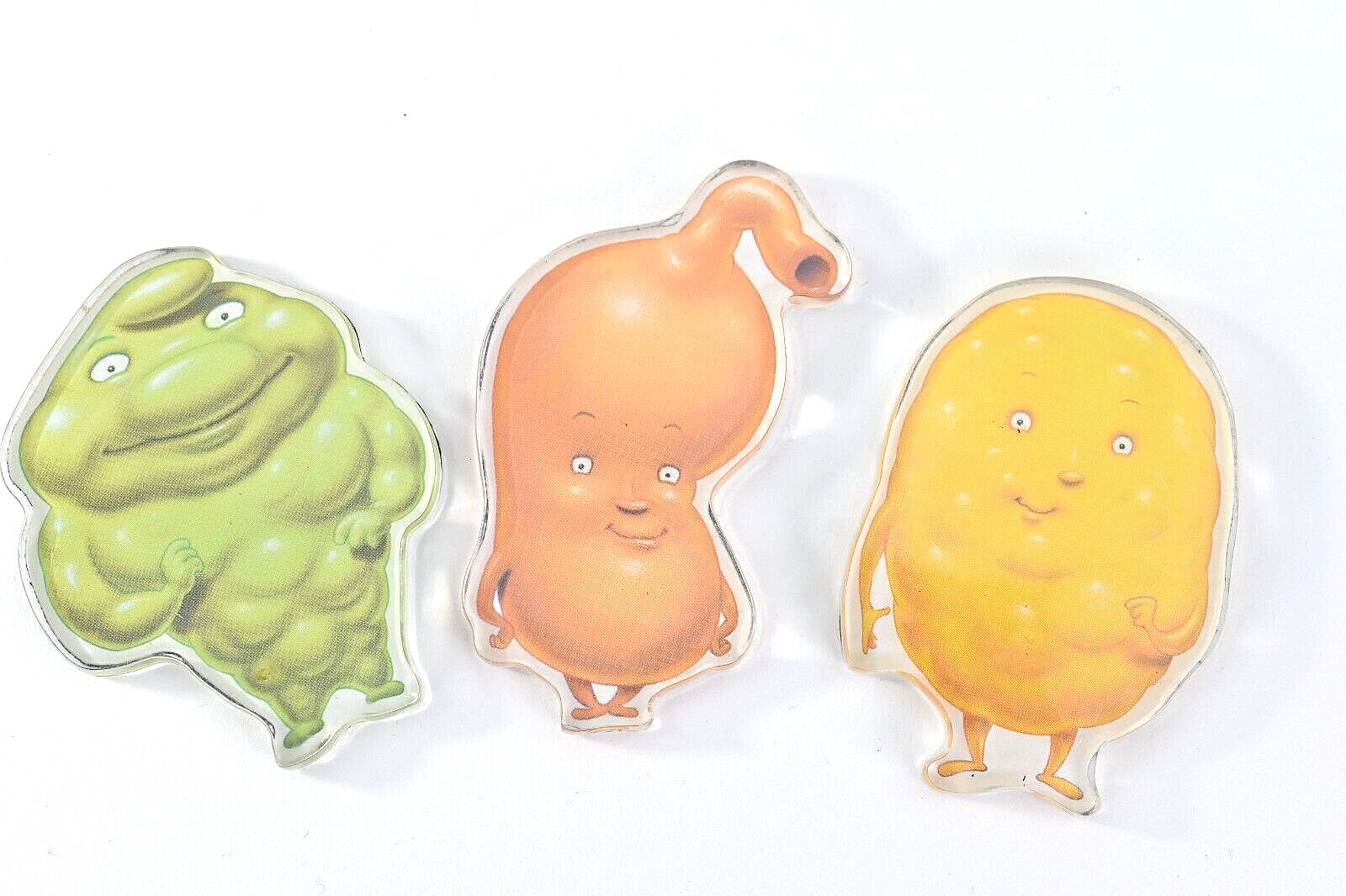 Actos Drug Rep Refrigerator Magnet Internal Organs Advertising