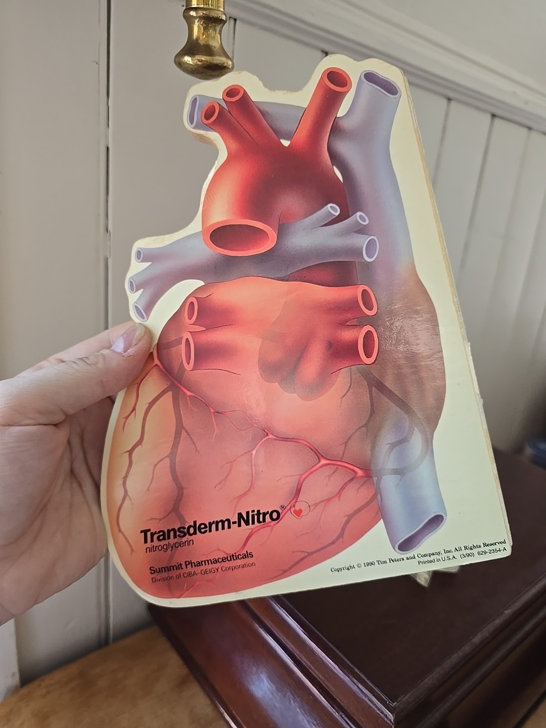 The Patient Guide to the Human Heart (Transiderm Nitro) Medical History 1990