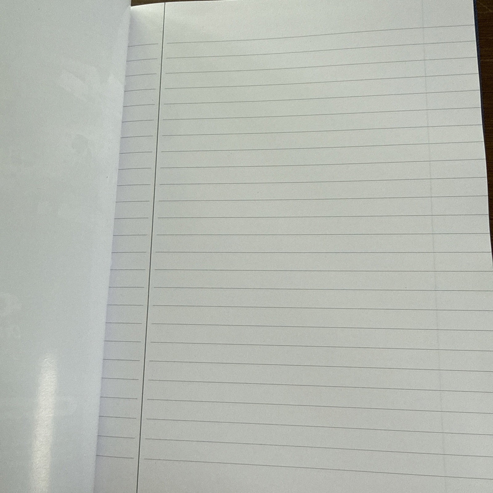 Vintage Geodon Ziprasidone Blue Large Notebook Paper Drug Rep Pharmaceutical New