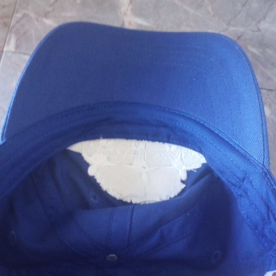 Aleve Promo Arthritis Foundation Arthritis Walk Fundraiser Ball Cap Blue EUC