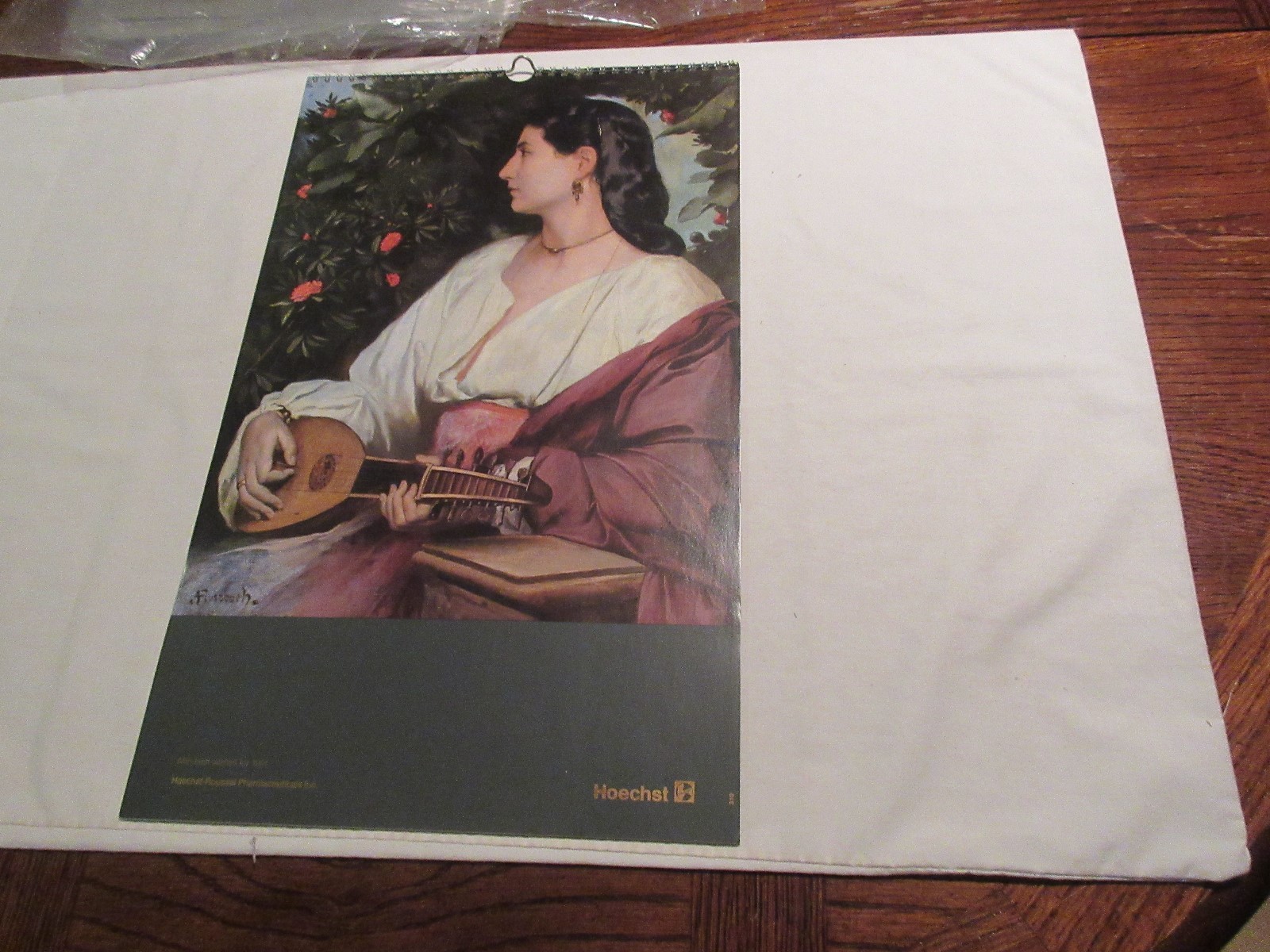 Rx , Hoechst-Roussel Pharmaceuticals Inc . ,1991 Calendar , 18 1/2″ X 11 1/2″