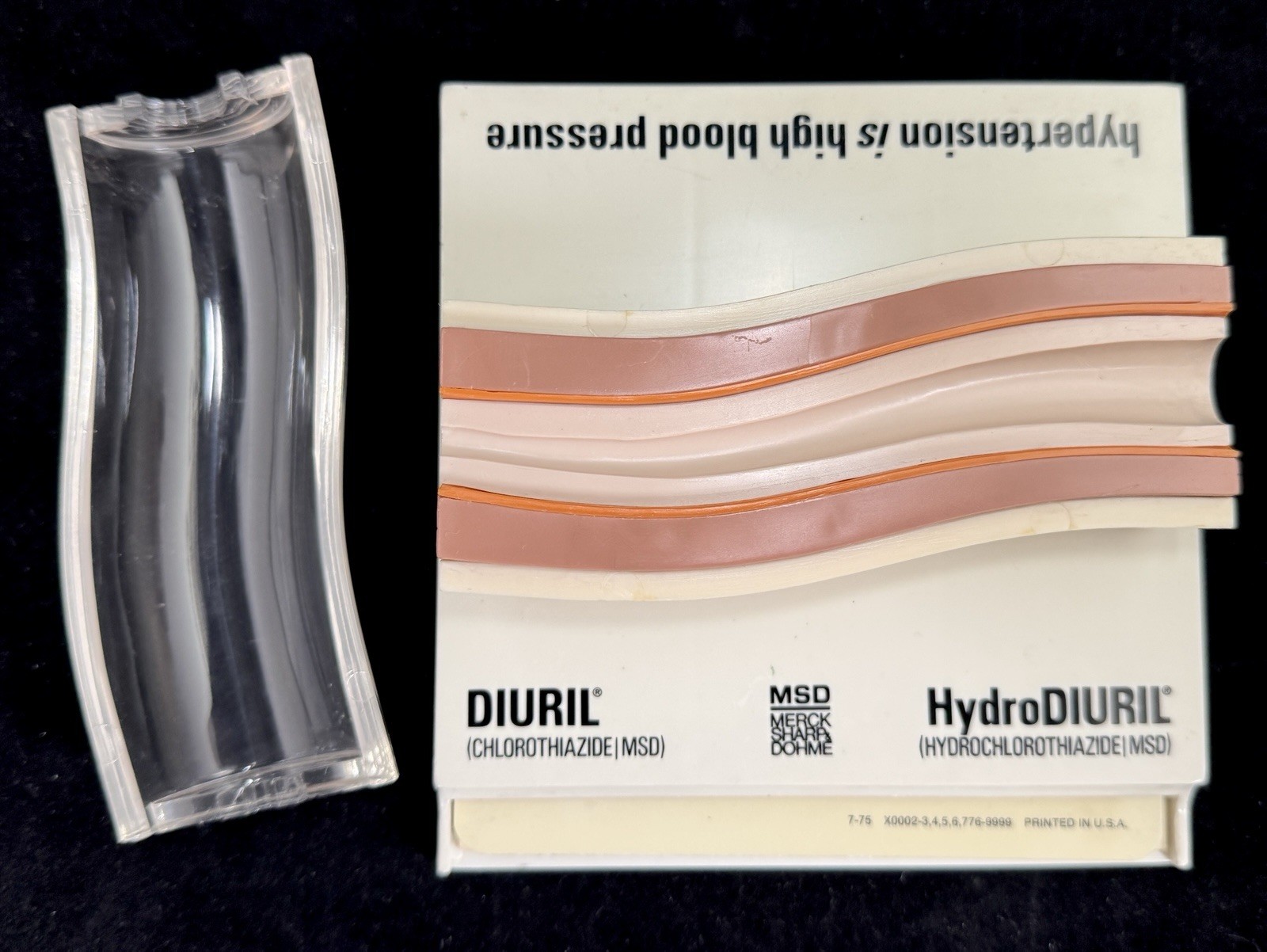 Merck MSD Diuril Advertising 3D Model Vein Artery 1976 Anatomical Sales Sample