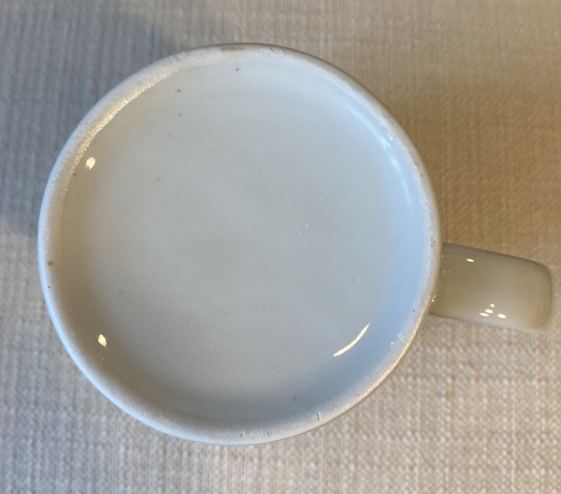 Omniflox Pharmaceutical Ad Medical Drug Mug Collectable Coffee Tea Cup
