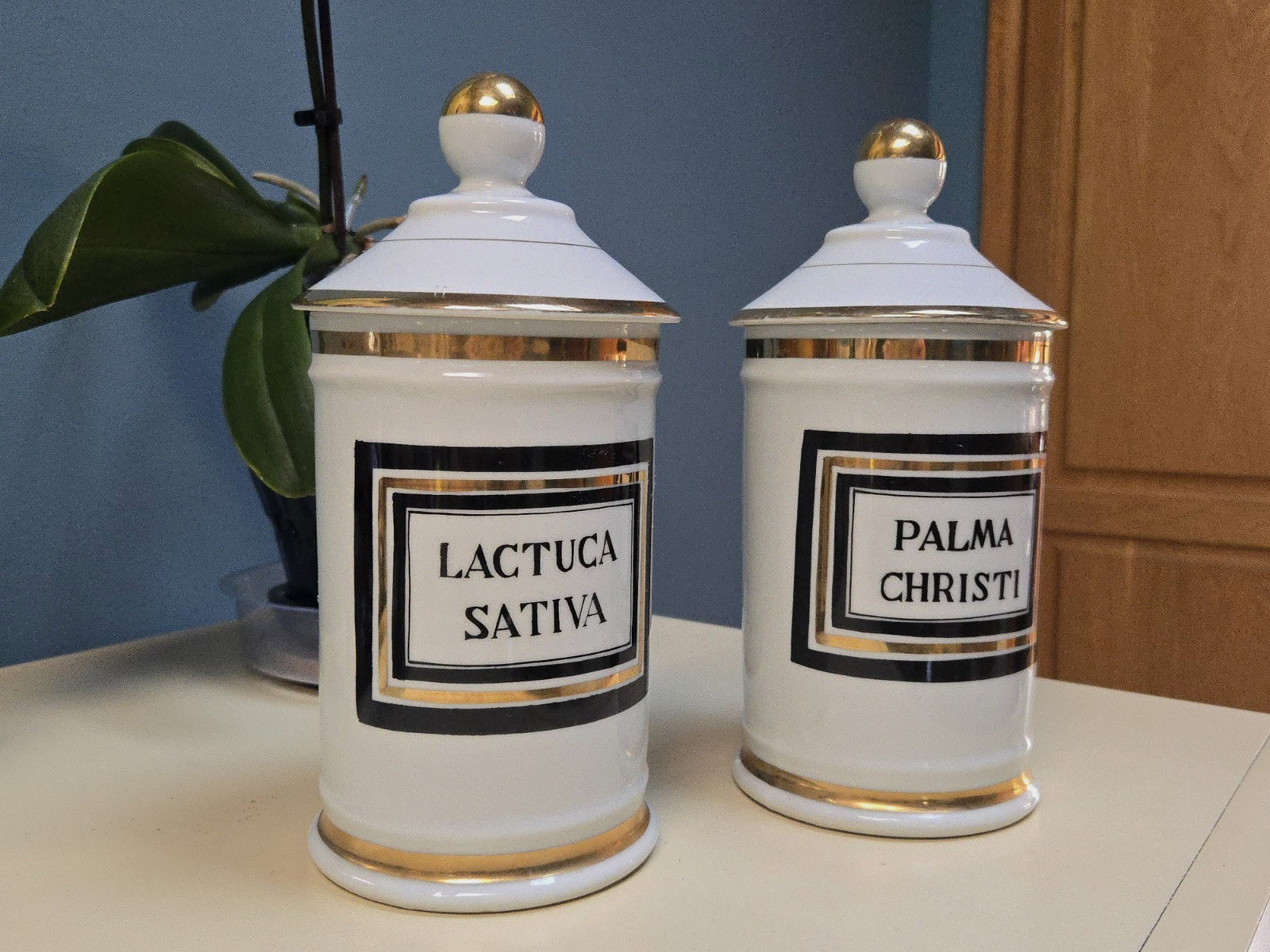2 Antique Apothecary Jars Porcelain Palma Christi and Lactuca Sativa