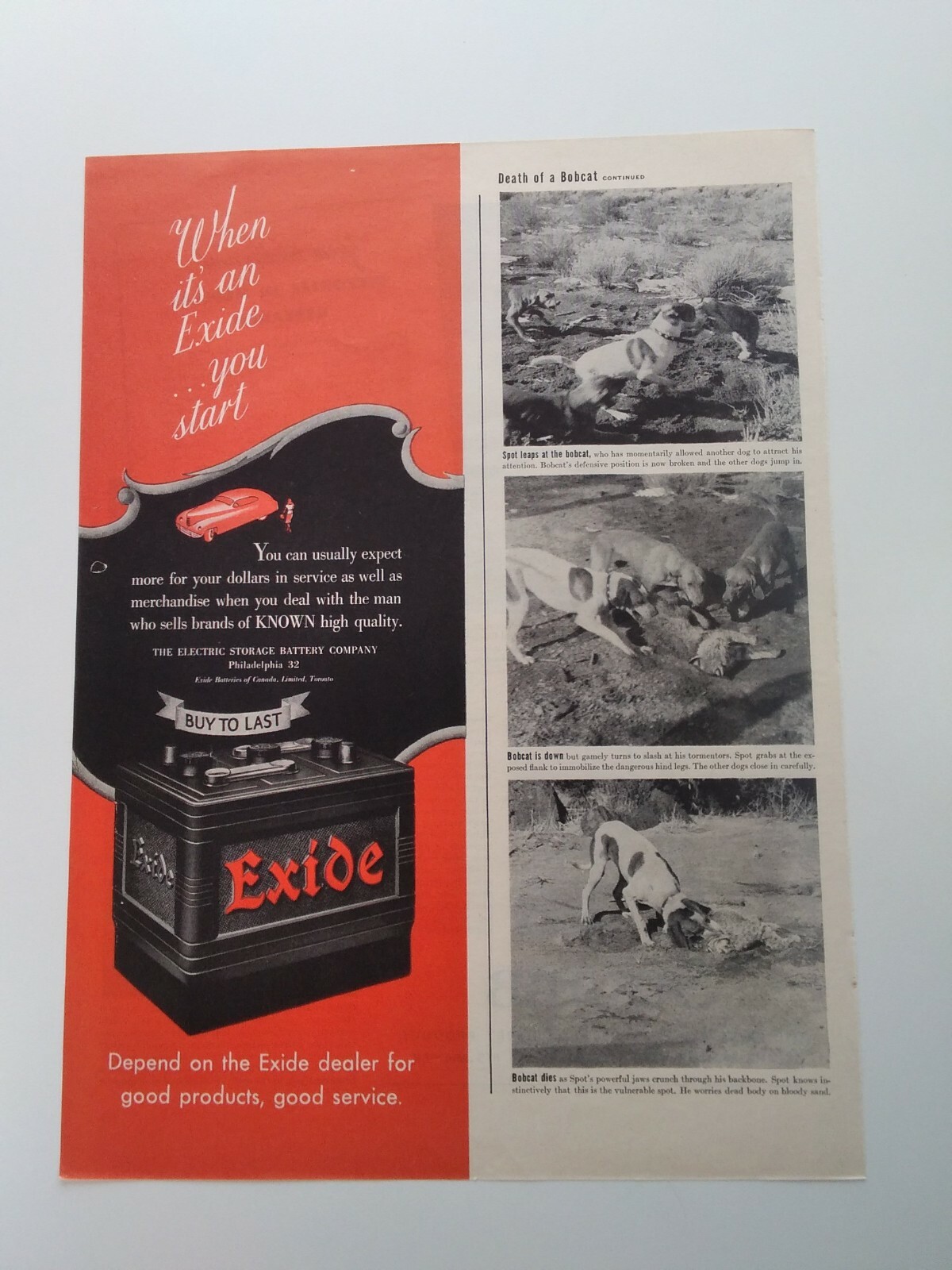 Squibb Print Ad Original Vintage 1945 Medical Research Bristol Myers NYC Exide