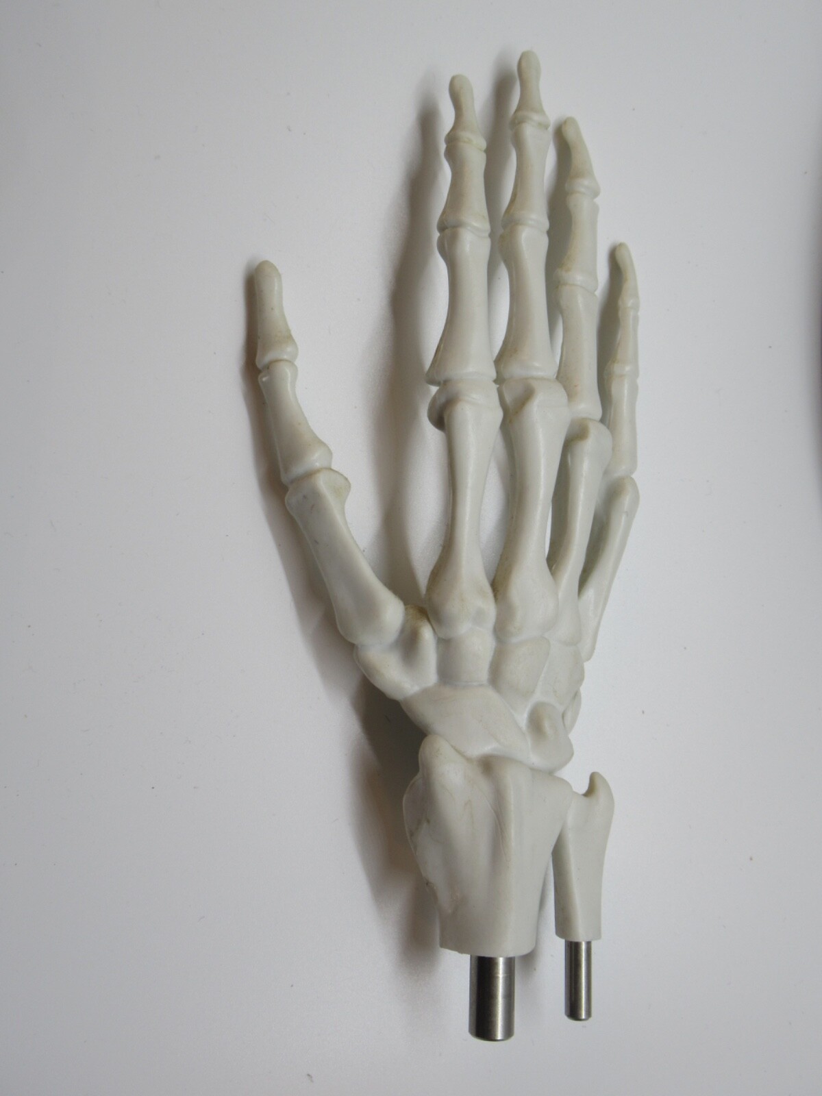 Pfizer Pharmaceutical Advertisement Celebrex Bextra Arthritis Display Model