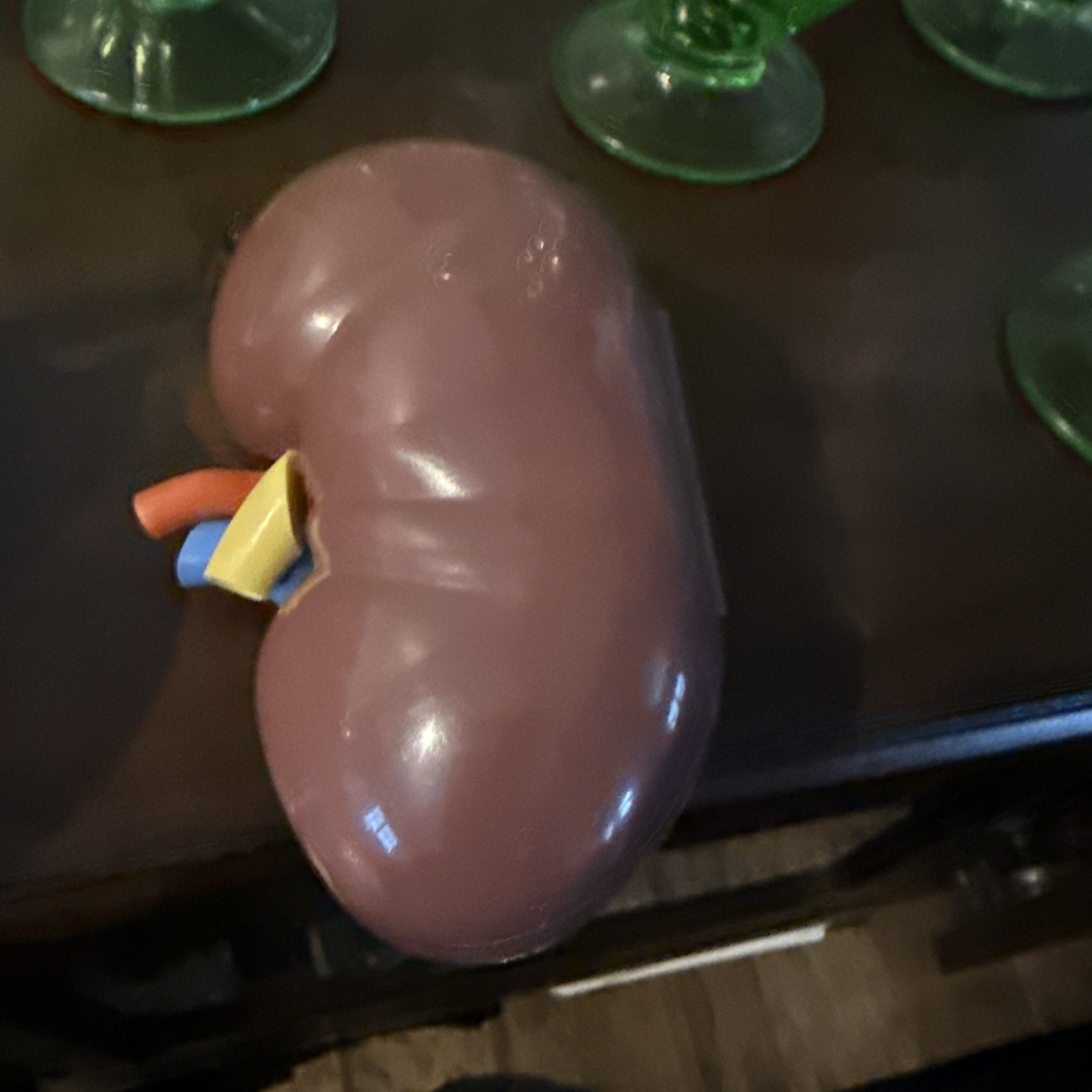1960’s Merck Sharp Dohme Heart Model Plus Free Kidney Look