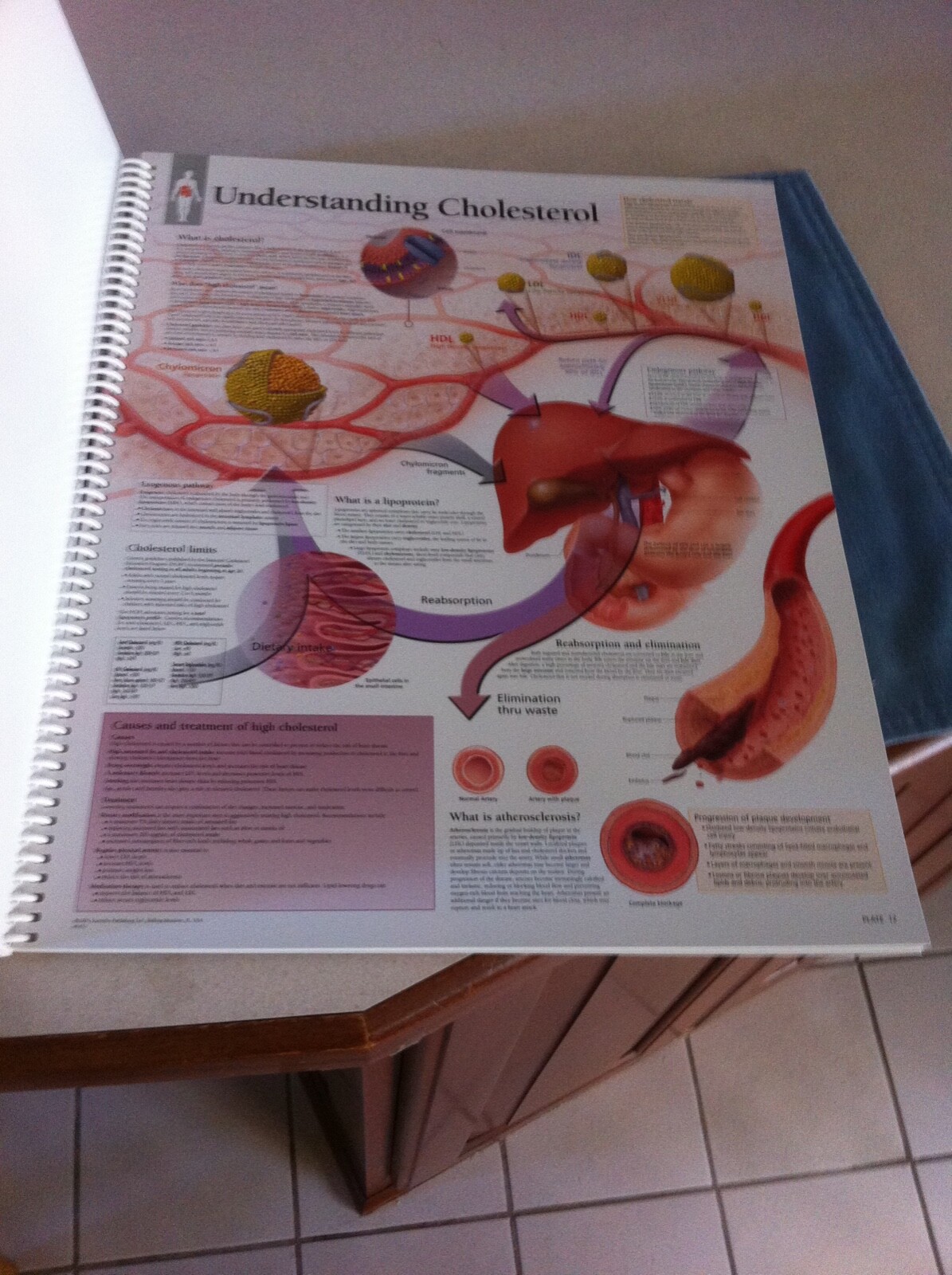 Drug rep 14″X11″ spiral bound Anatomic Charts