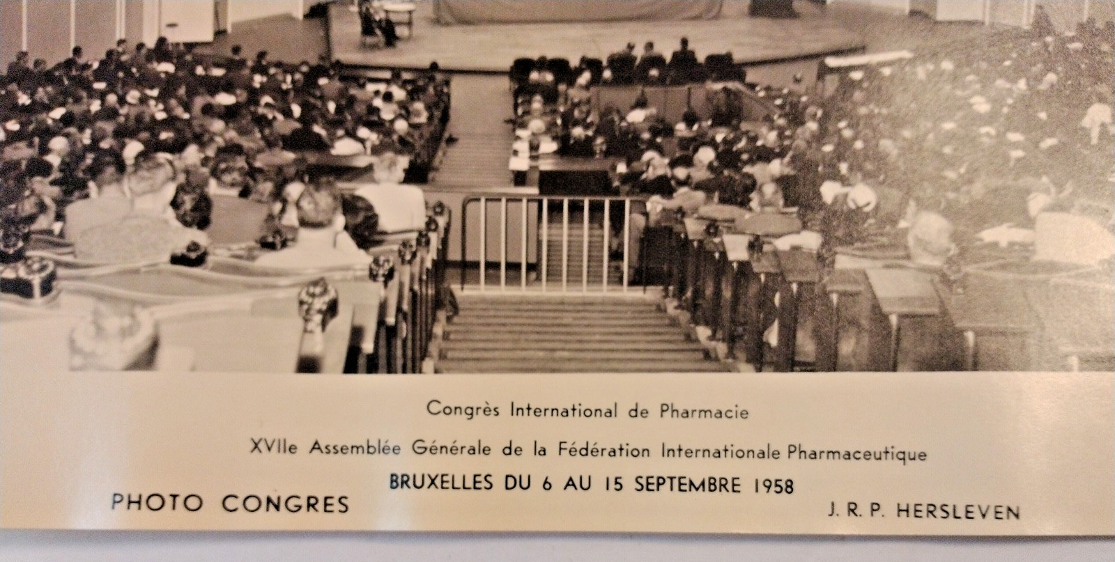 Lot/2- 1958 Real Press Photo International Congress Of Pharmacy General Assembly