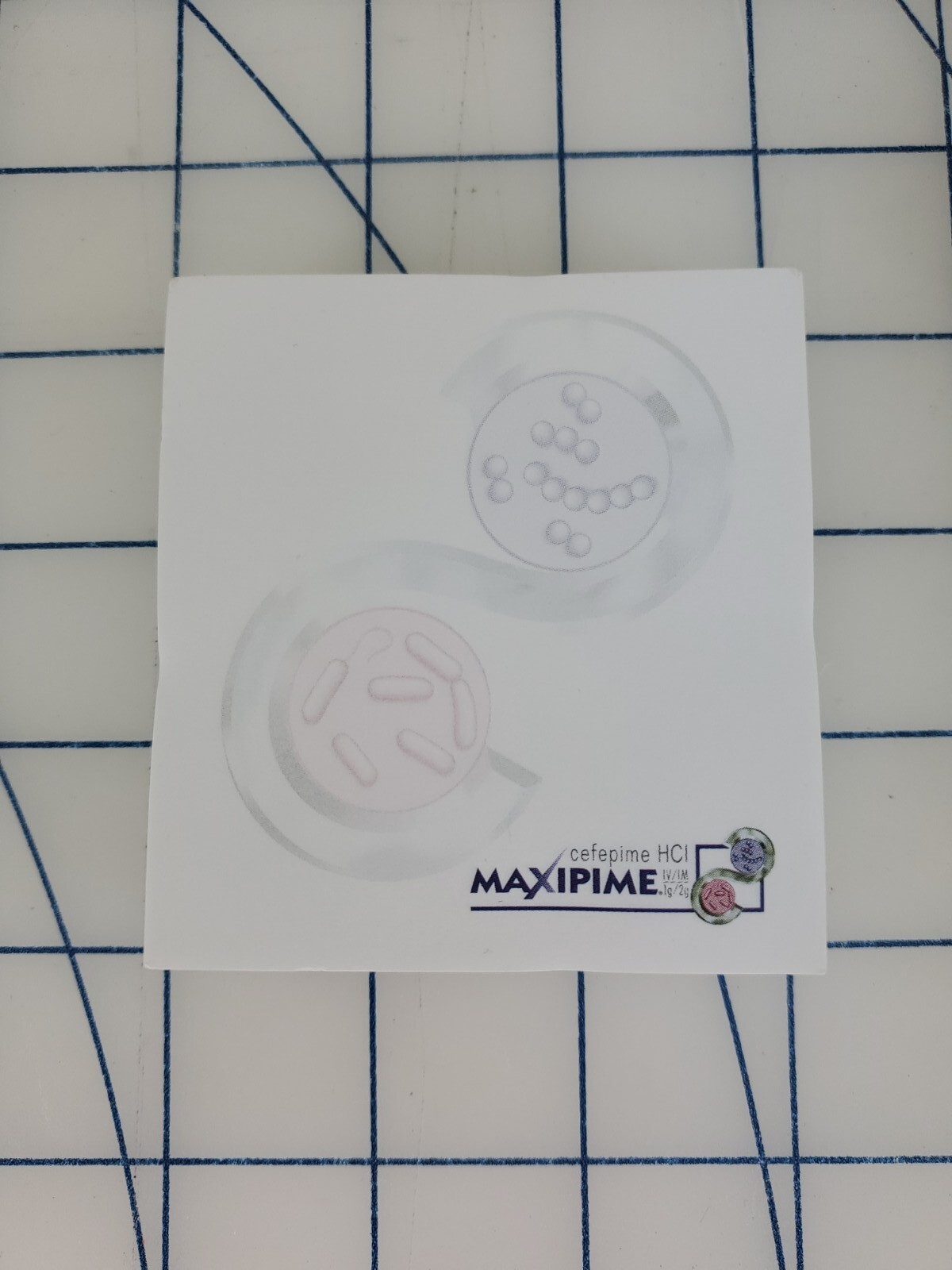 MAXIPIME cefepime HCL tablets Post-it Note pad NEW Pharmaceutical Drug Rep promo