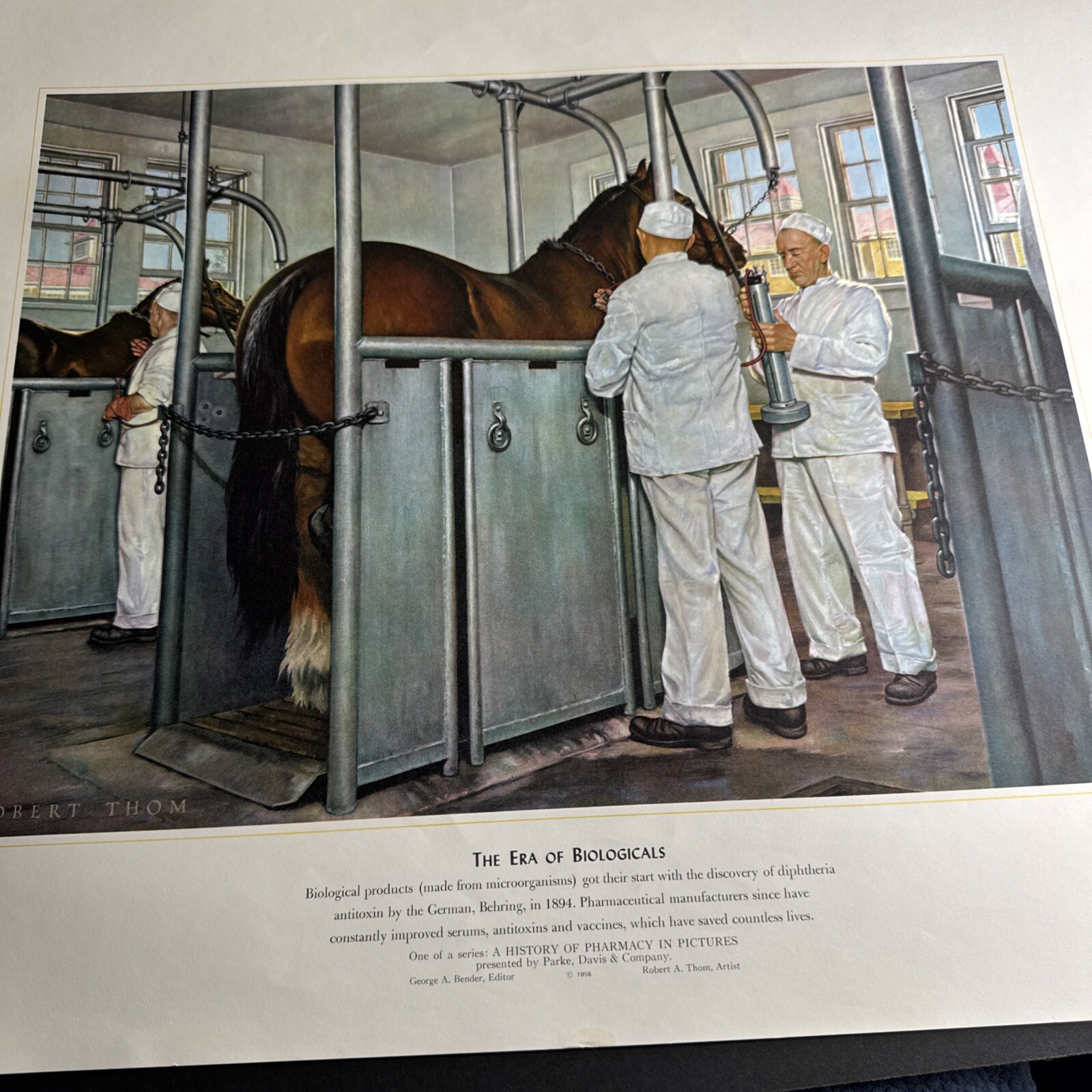 A HISTORY OF PHARMACY IN PICTURES 1954 PRINT Great Gift For Doctor 22″×18″