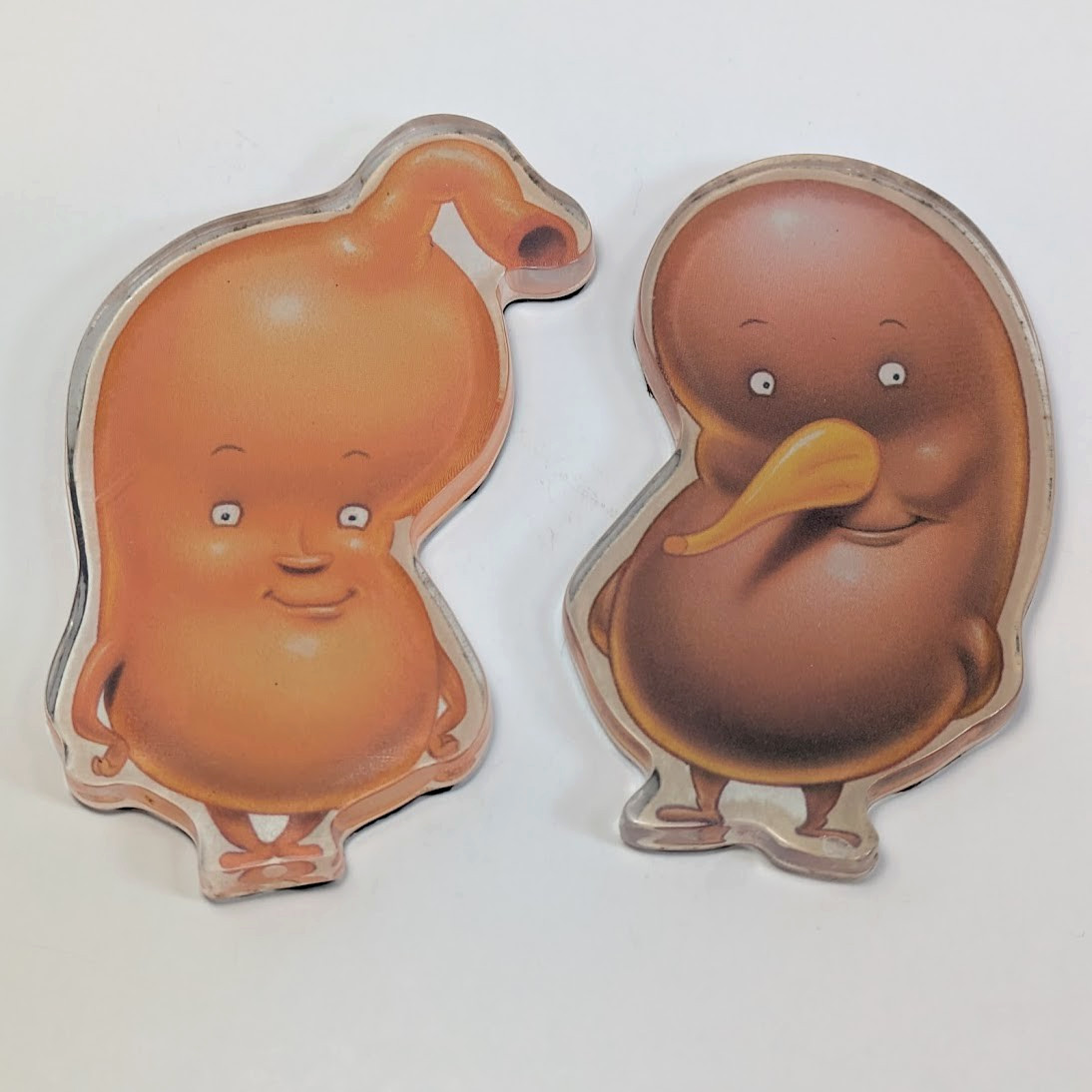 Pharmaceutical Drug Rep Advertising Magnet (2) Actos Stomach Liver Organs