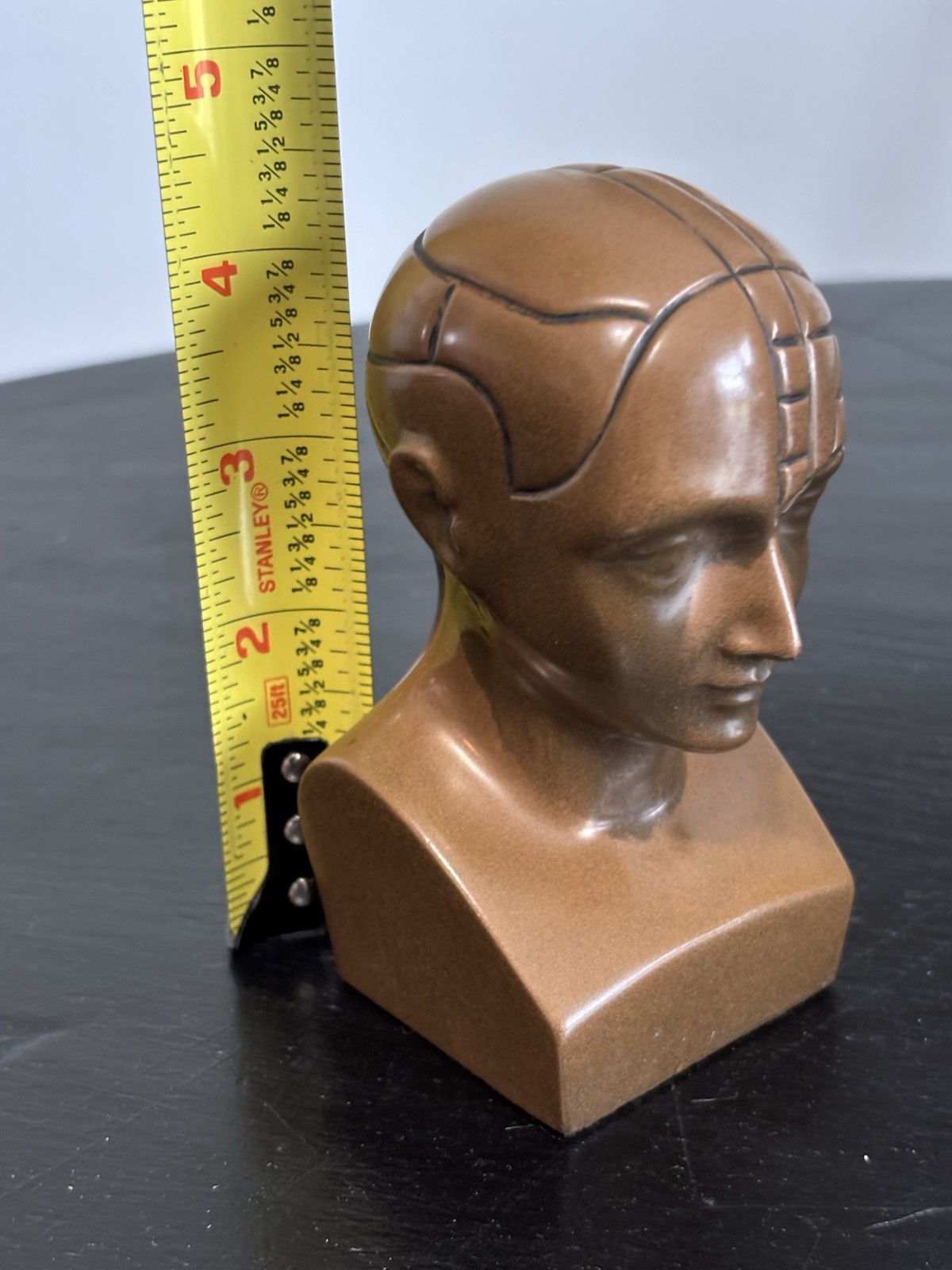 PHRENOLOGY HEAD-Medical Advertising-Promotional Statue BUST-Discontinued PAXIPAM