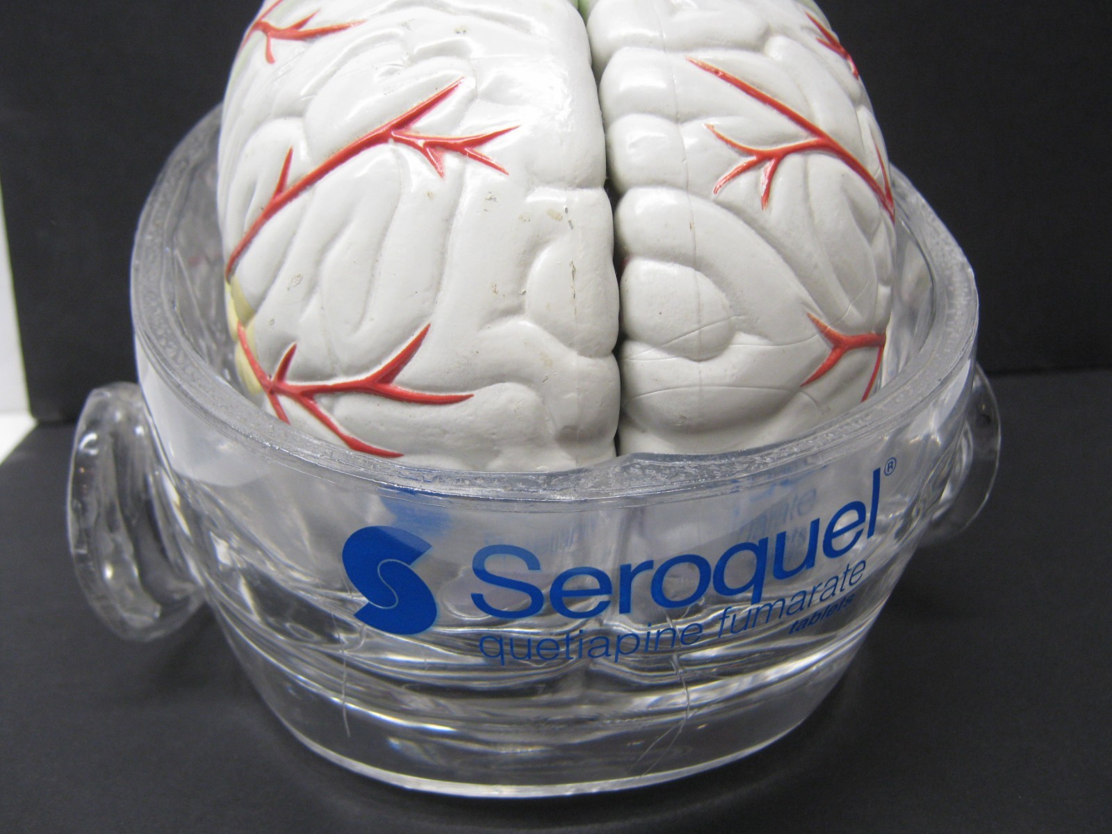 Seroquel Human Brain Anatomy Model w/ Clear Skull PharmaDesign Medical Display