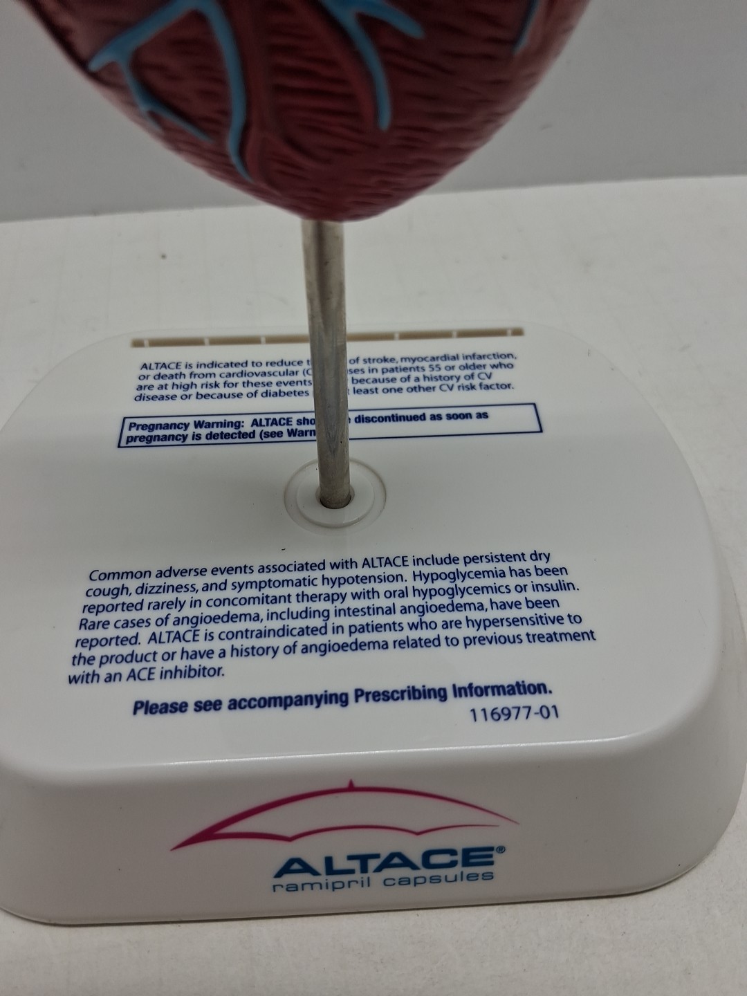 Altace Pharmaceutical Heart Diagram Display, Ramipril Capsules, Promotional