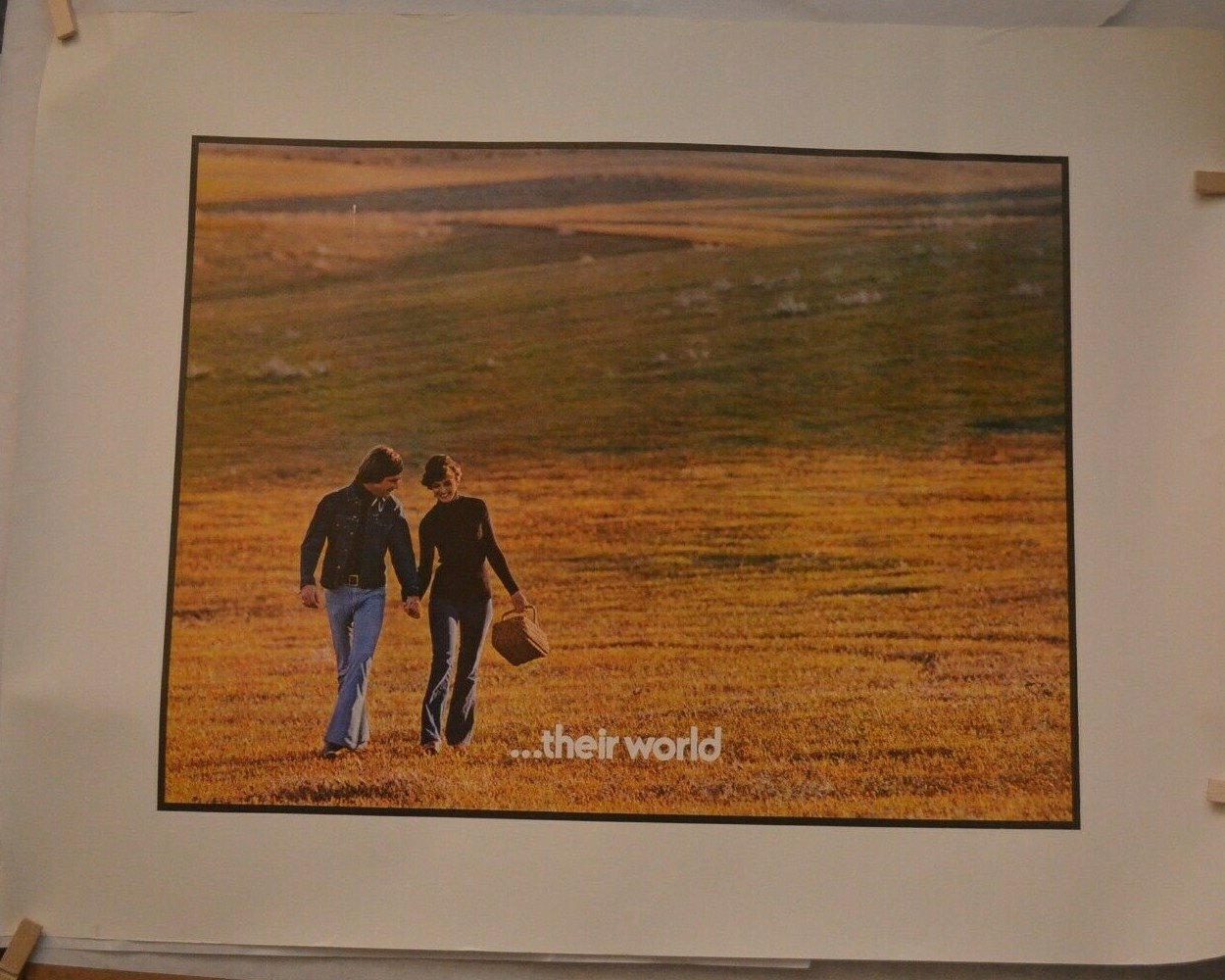 Lot of (2) Vintage “Their World” Ortho-Novum Birth Control Advertisement Poster