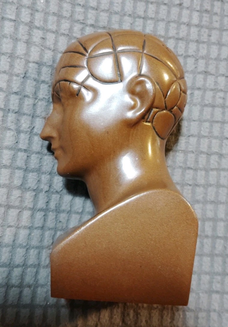 Vintage Paxipam Phrenology Bust, Medical Advertising Paperweight 4-3/8” x 2.4”