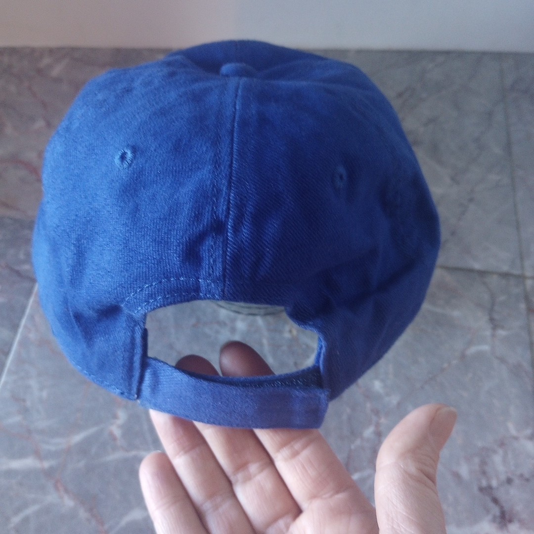 Aleve Promo Arthritis Foundation Arthritis Walk Fundraiser Ball Cap Blue EUC