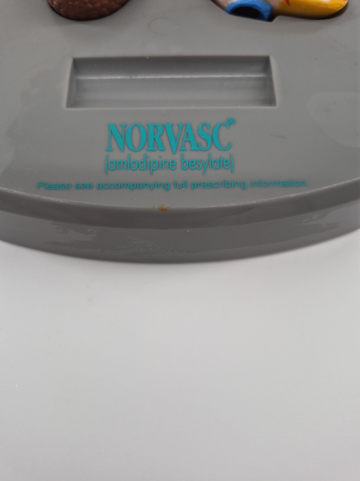 RARE ODDITIY NORVASC MEDICAL DISPLAY BRAIN HEART KIDNEY COLLECTIBLE
