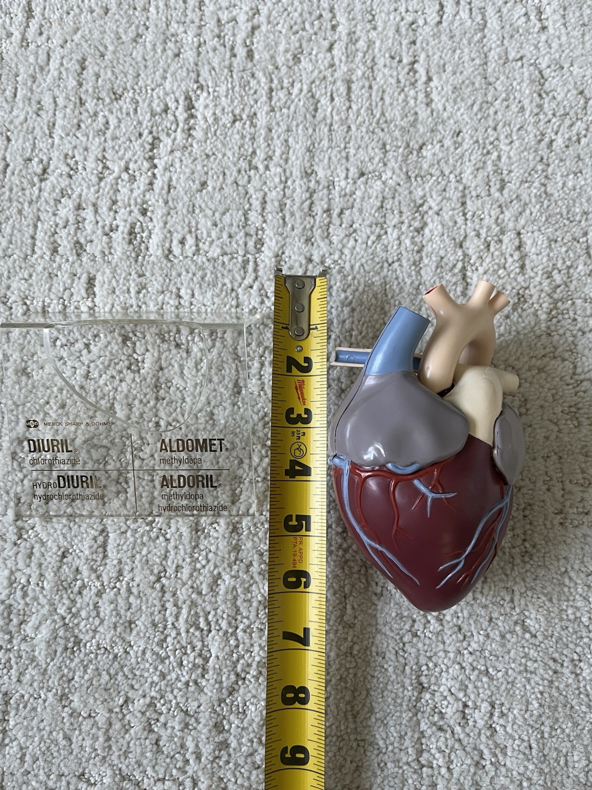 Vintage Merck Sharp Dohme Anatomical Heart Model Diuril Aldomet Drug Rep