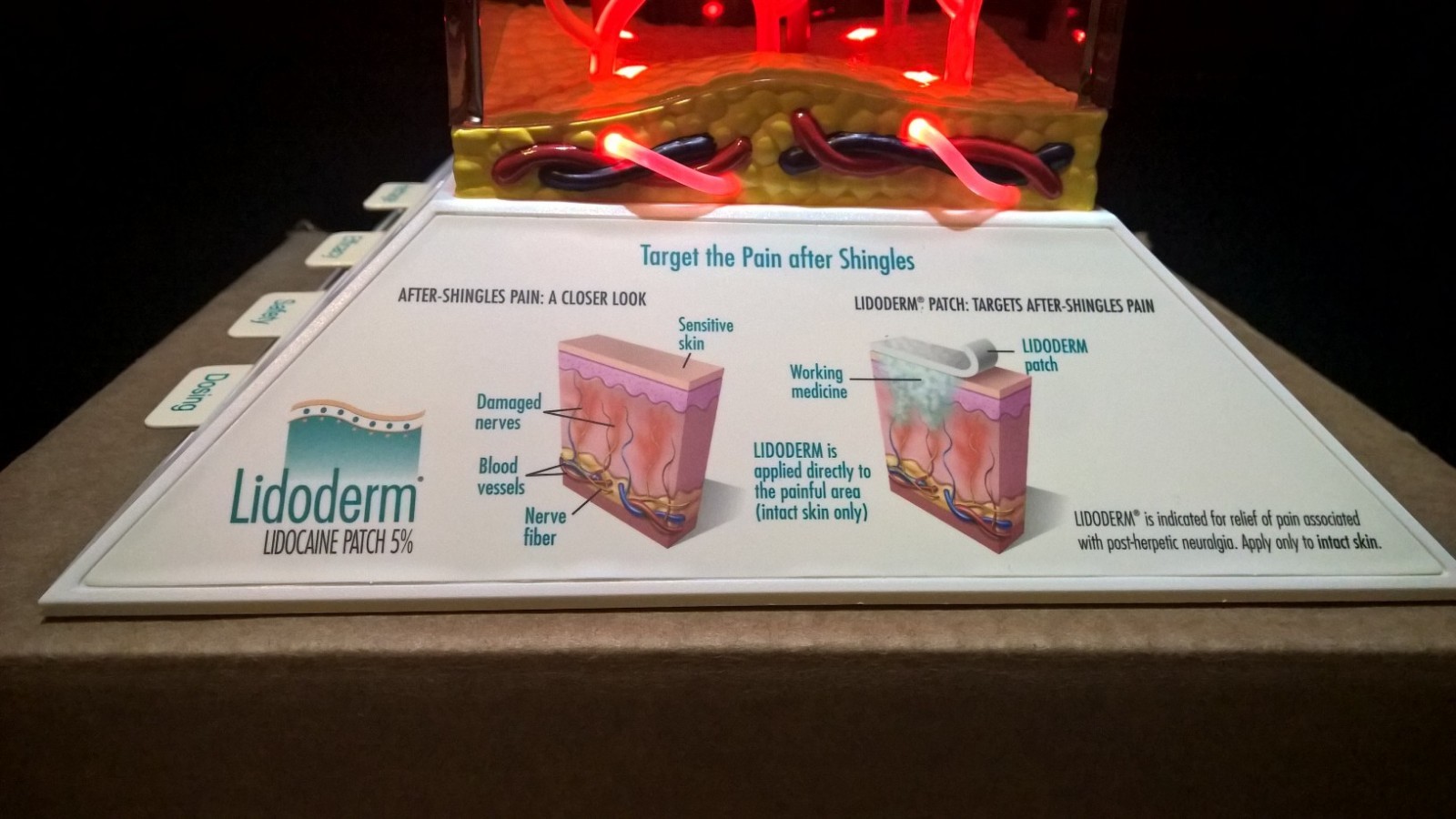 Drug Rep 3D light up Model Lidoderm Lidocaine patch collectible memorabilia NEW