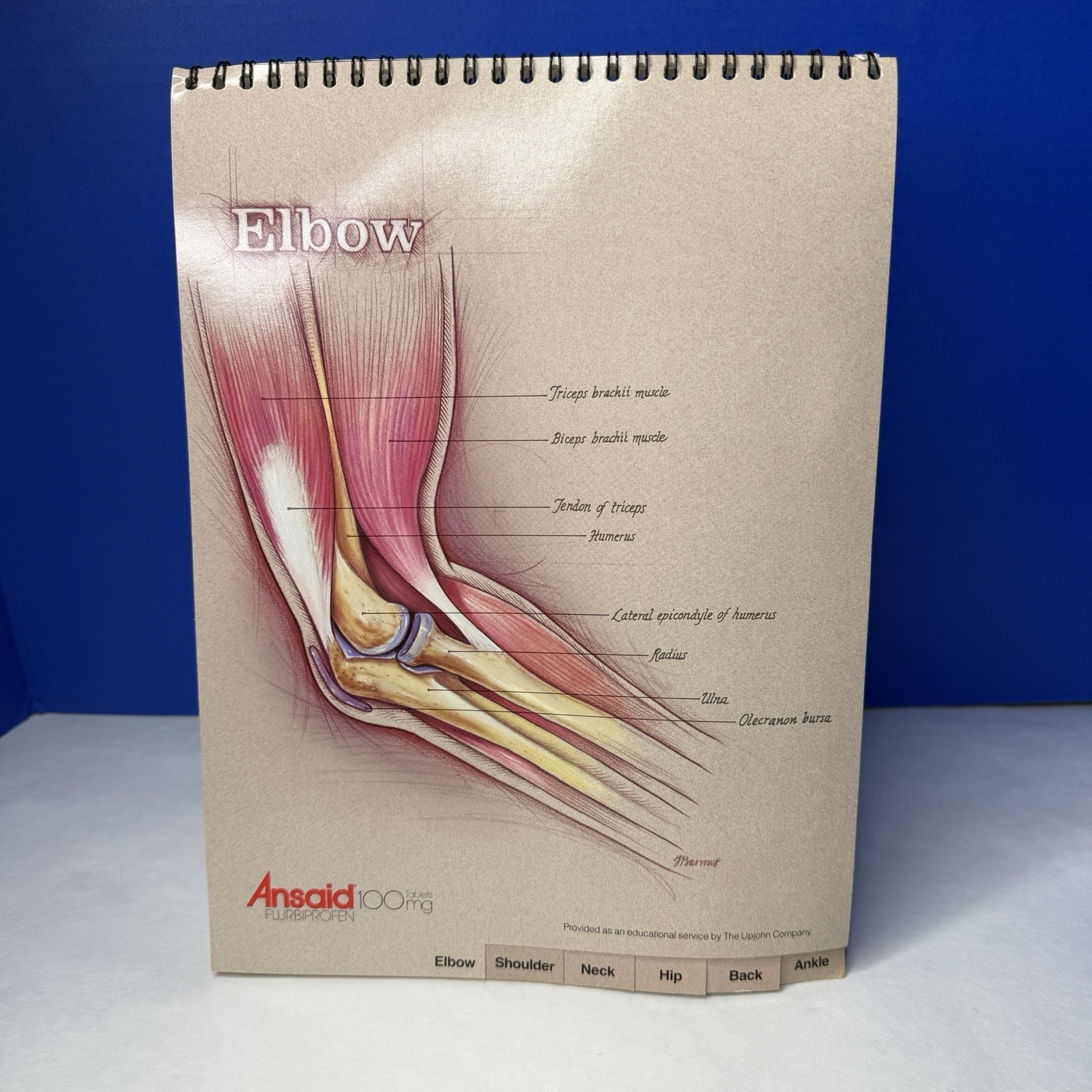 Ansaid Pain Medicine Anatomical Charts Drug Rep Ad Promo Pharma Marketing 1980s