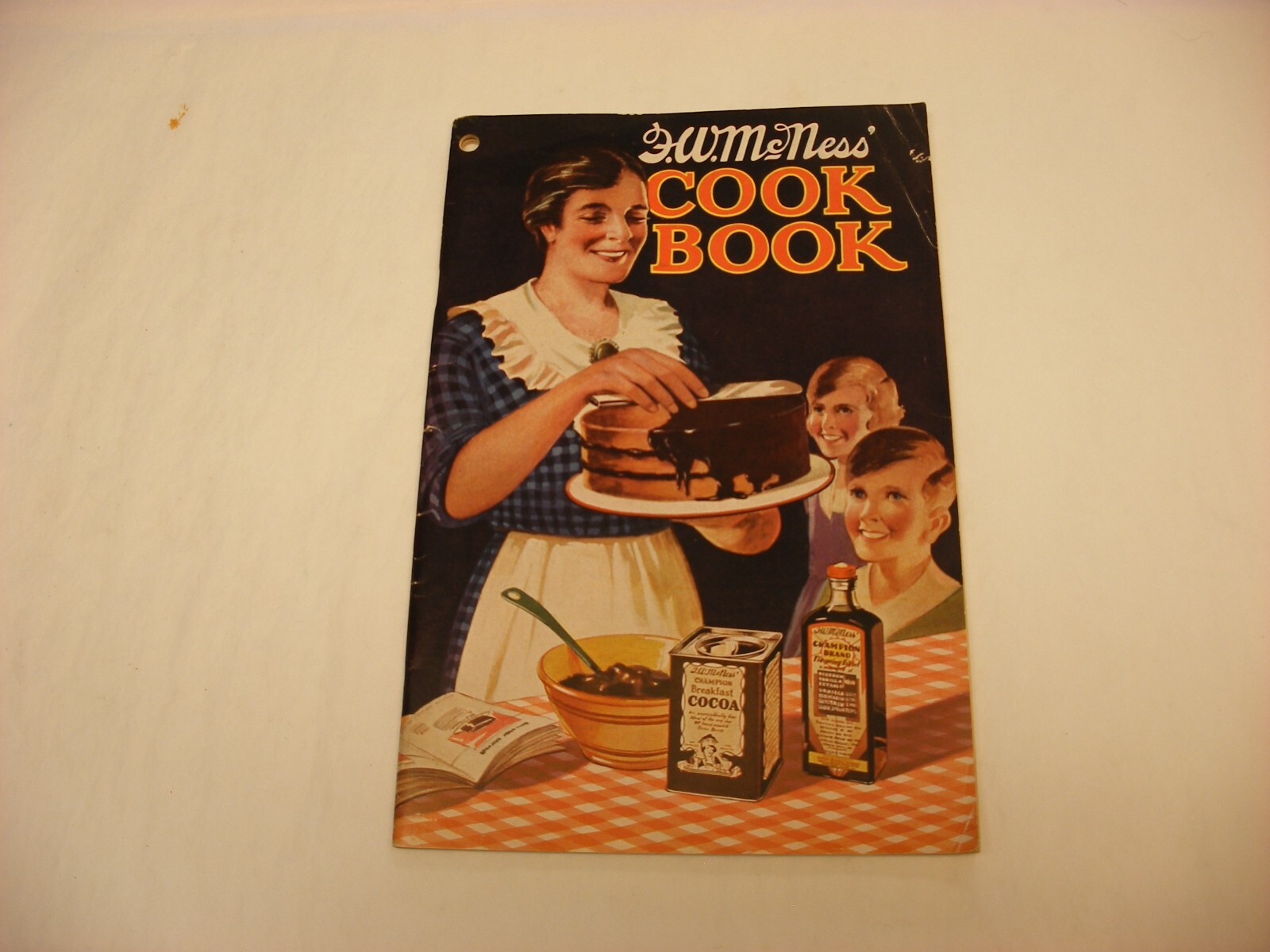 Vtg 1933 F. W. McNess Co. Freeport IL Pharmacy Medical Cure Cookbook
