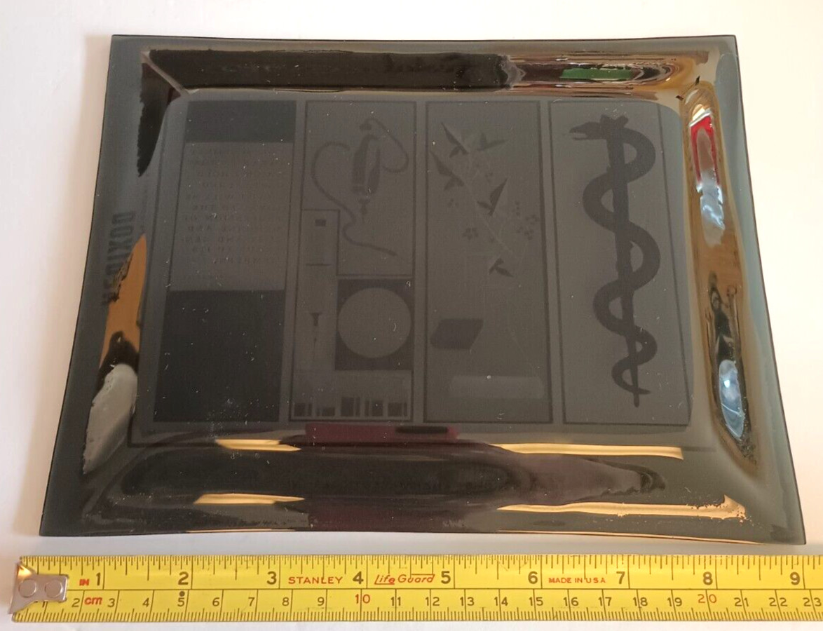 Vintage Pharmaceutical Medical Glass Plate Advertising Festal Doxidan 9×7 Swag