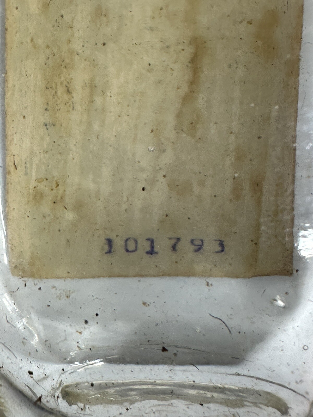 Antique Puretest Rhinitis Tablets Full Straight United Drug Co Sold At Rexall