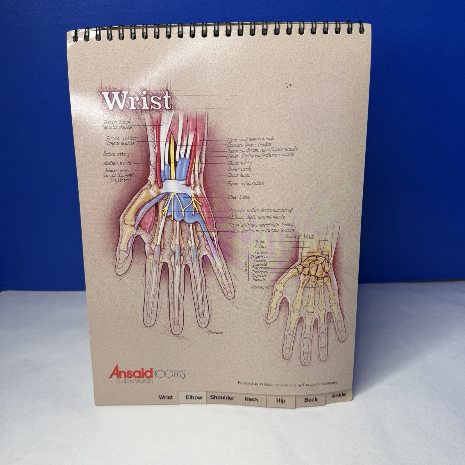 Ansaid Pain Medicine Anatomical Charts Drug Rep Ad Promo Pharma Marketing 1980s