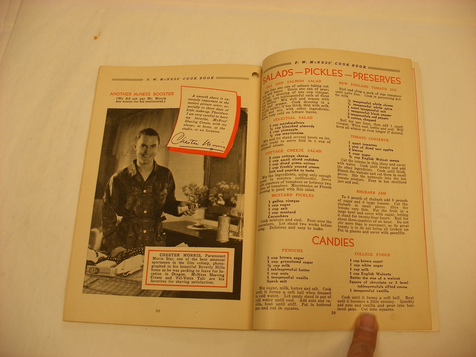 Vtg 1933 F. W. McNess Co. Freeport IL Pharmacy Medical Cure Cookbook