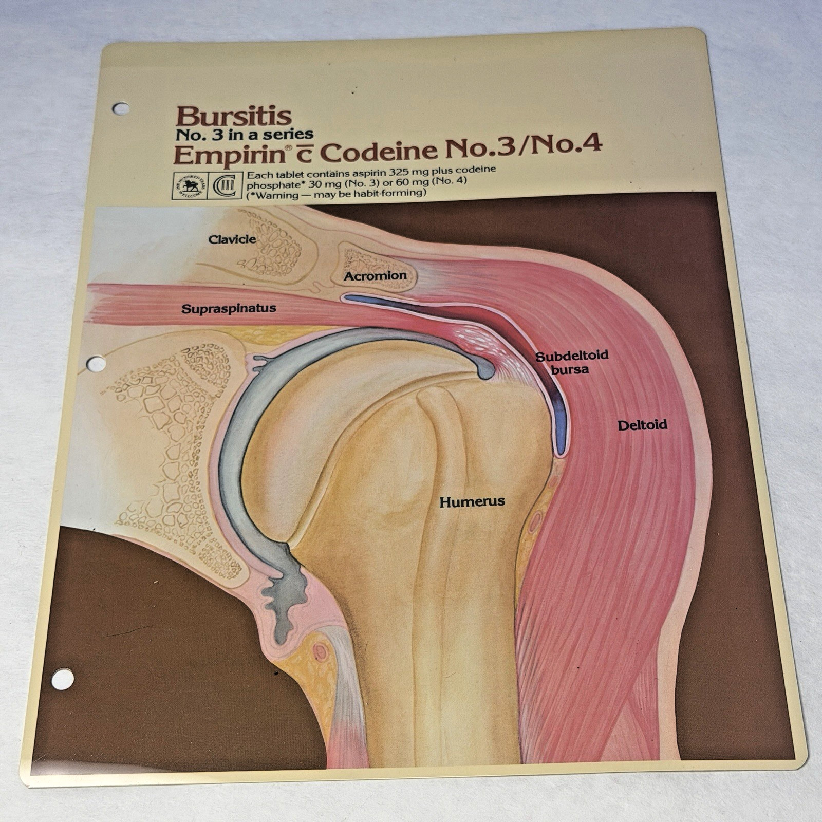 Codeine Medical Charts 5 Drug Rep Ad Promo Pharma Collectible Marketing 1980