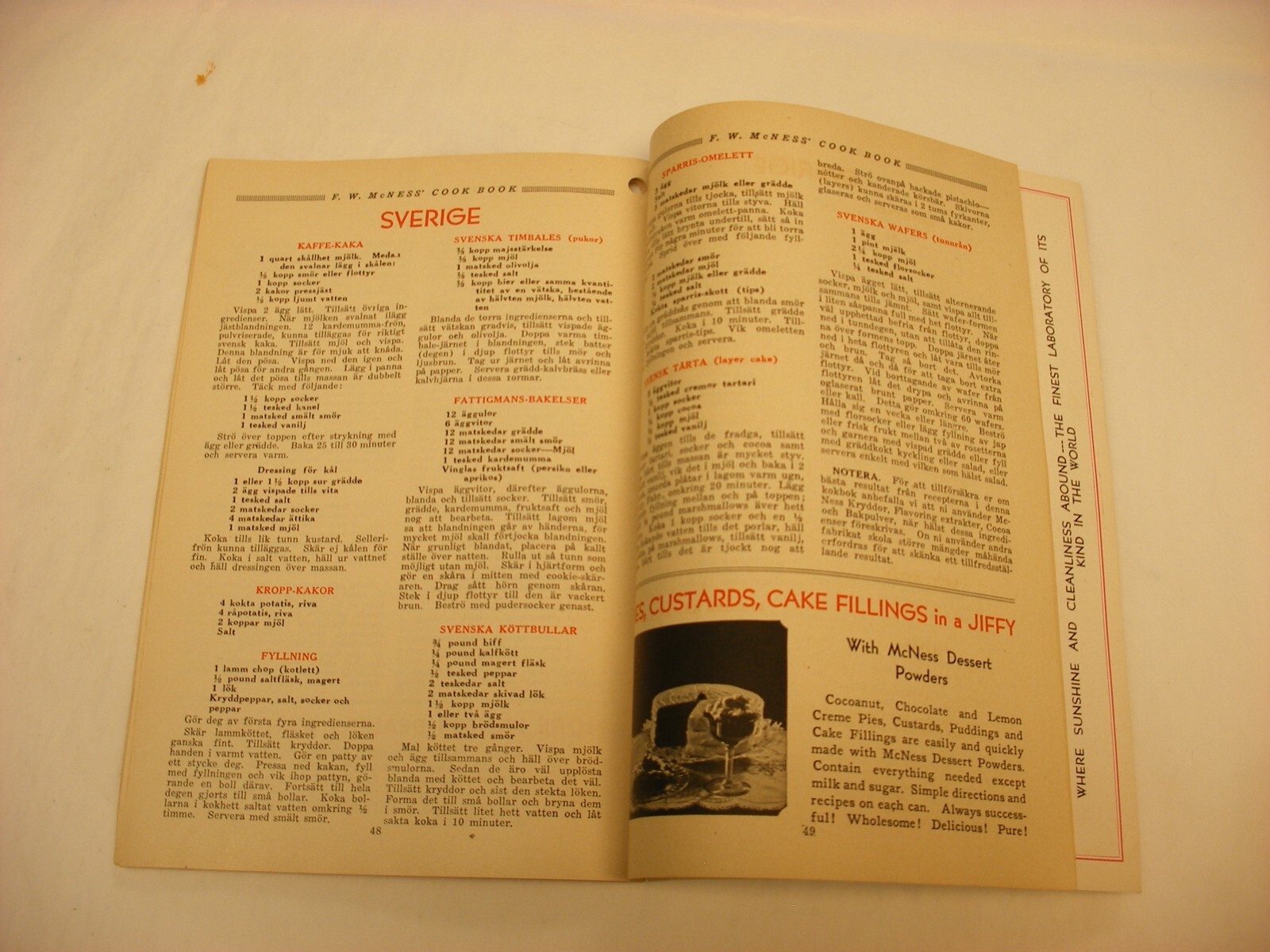 Vtg 1933 F. W. McNess Co. Freeport IL Pharmacy Medical Cure Cookbook