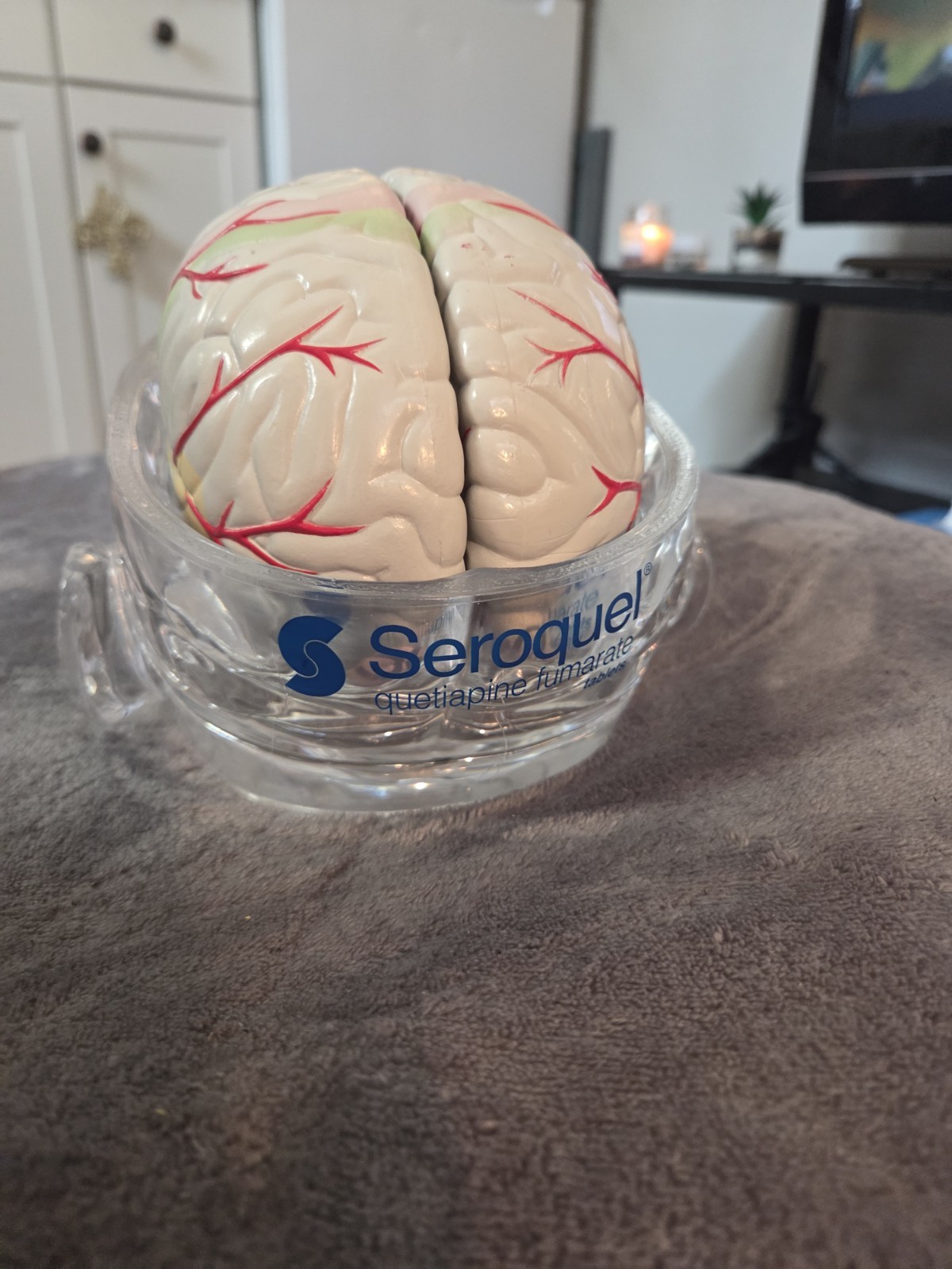 Vintage Seroquel Head Brain Anatomy Pharma Design Sales Display Removable Brain